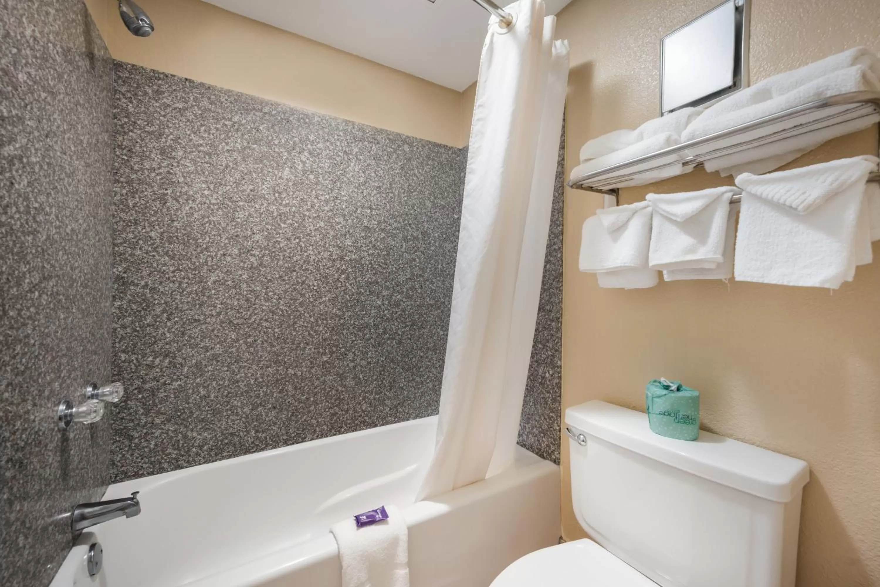 Shower in Knights Inn College Station