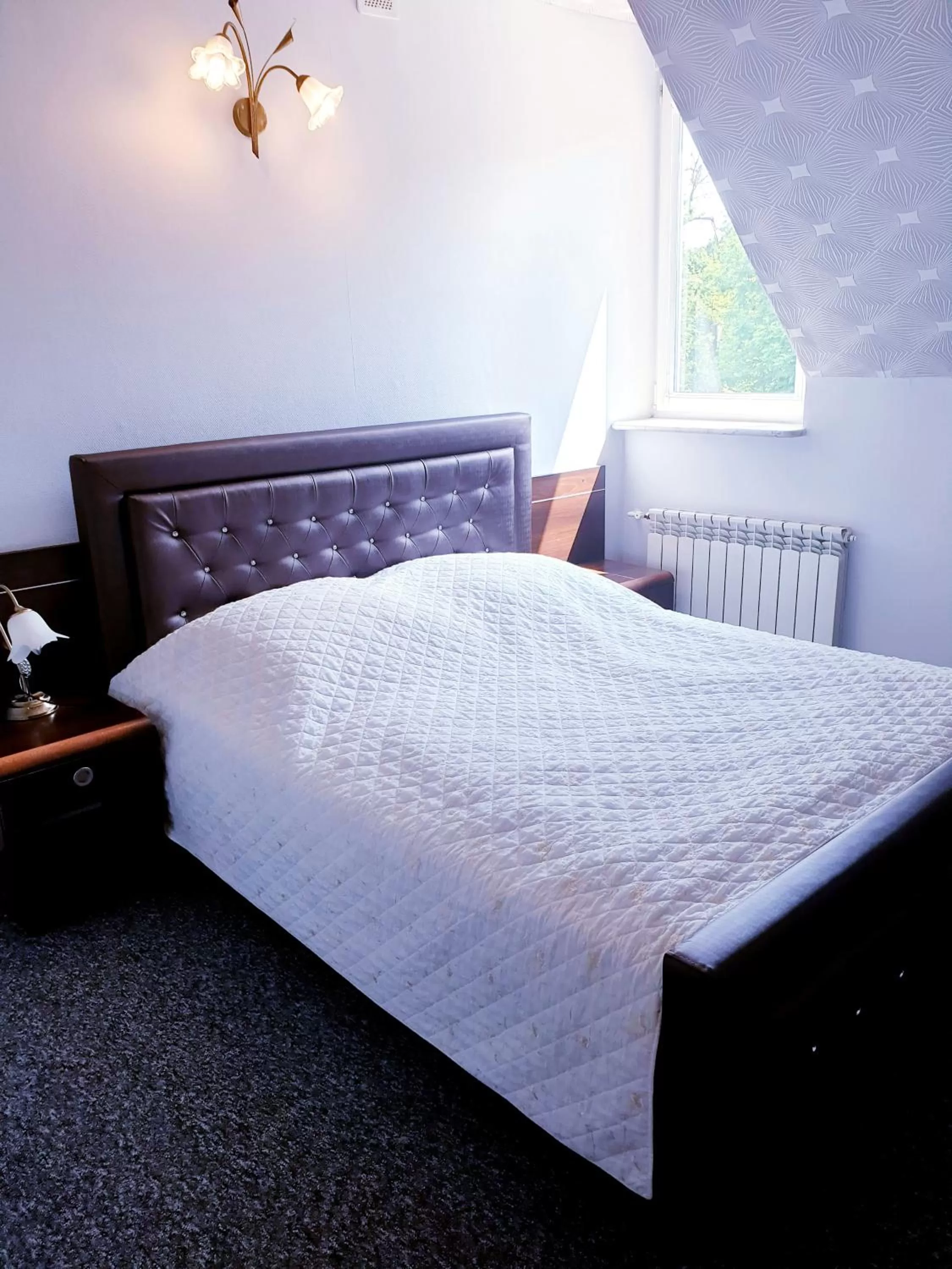 Single Room in Hotel Magnat