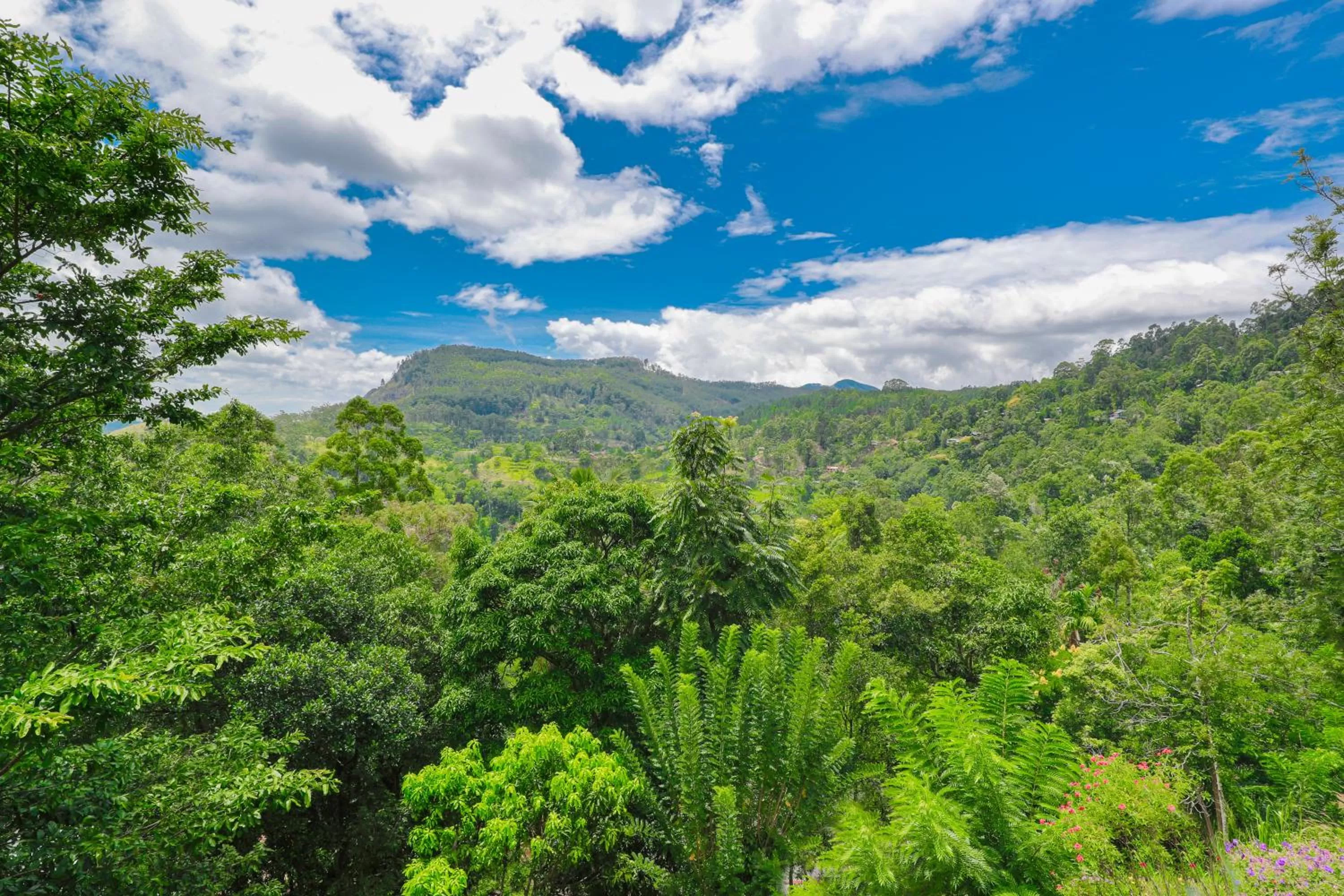 Natural landscape in Zircon Ella