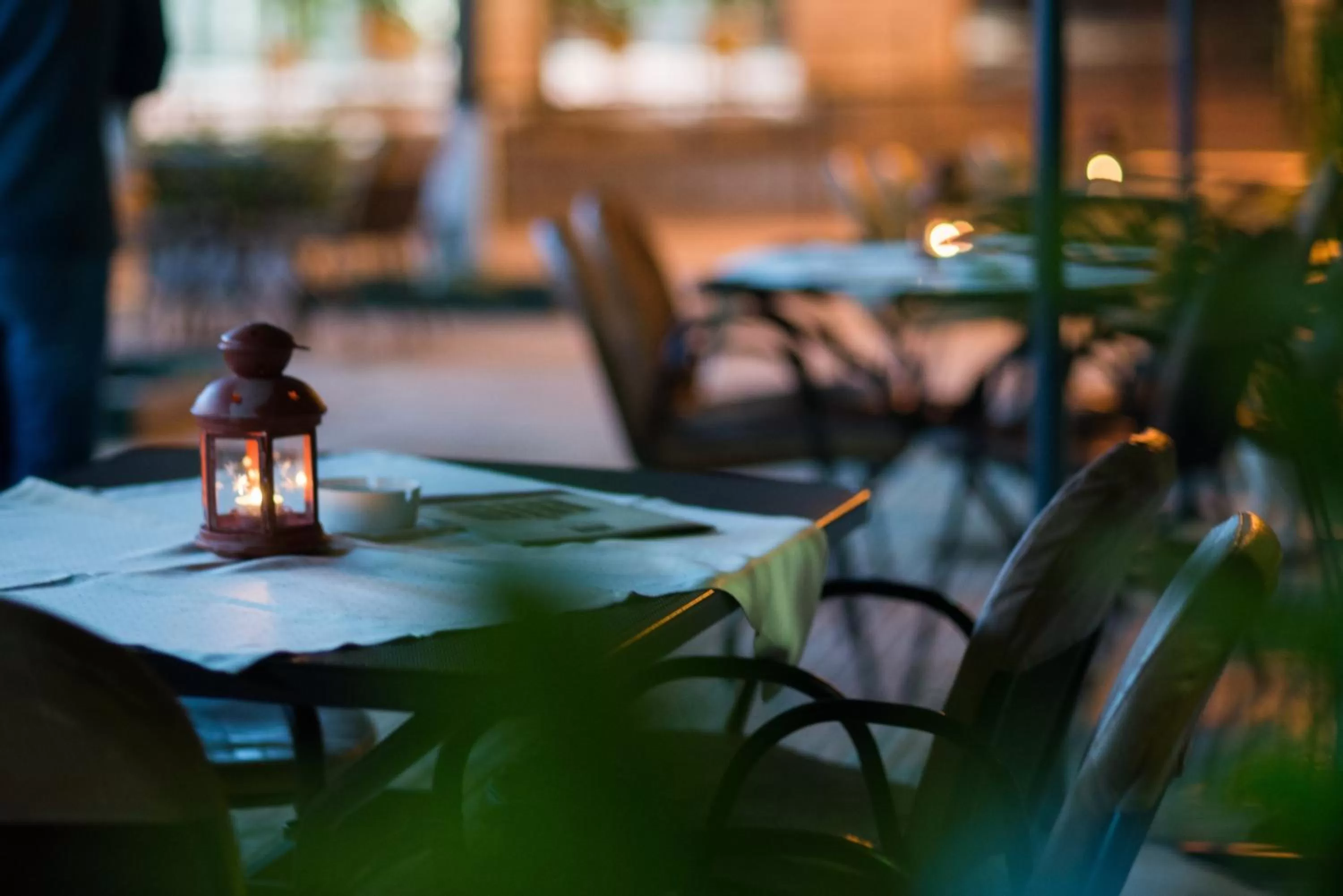 Garden in Delphi Art Hotel by Prima Hotels