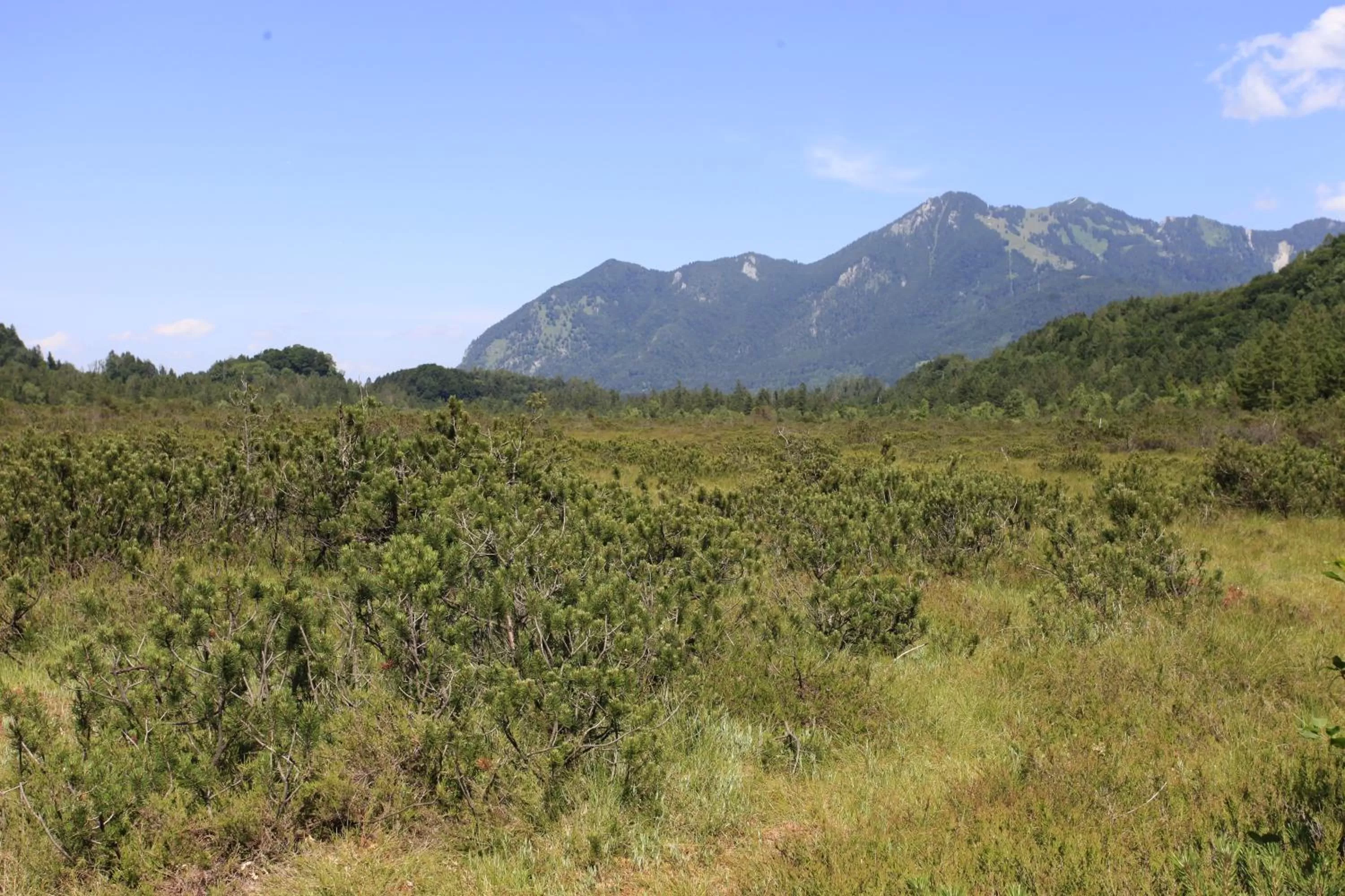 Natural landscape in Rait´ner Wirt