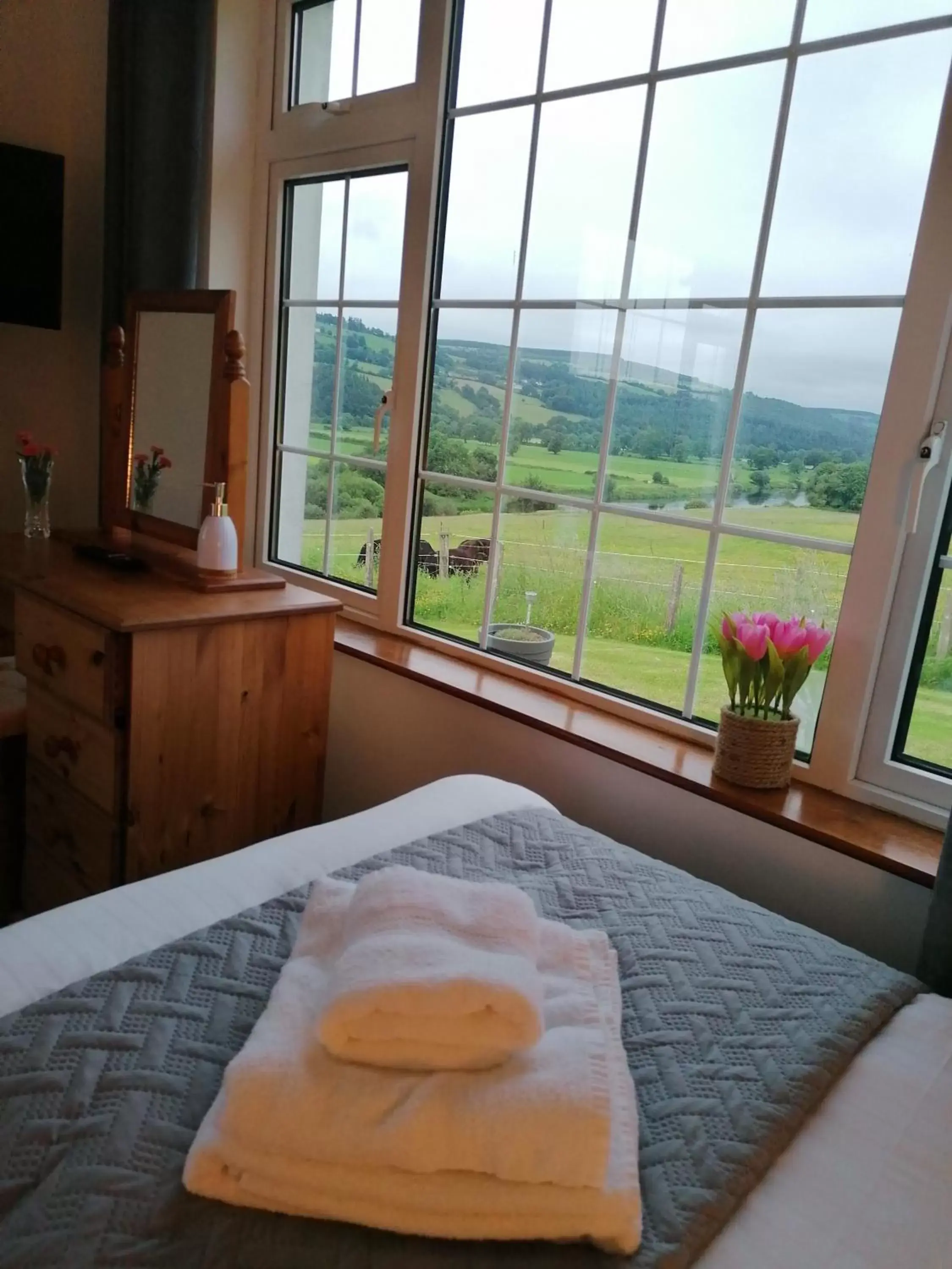 Triple Room - single occupancy in Cable Island Bed and Breakfast Triple Room - single occupancy in Cable Island Bed and Breakfast