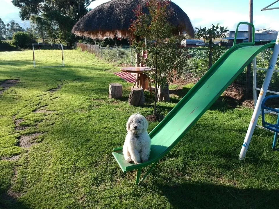 Animals in Casa del Montañero