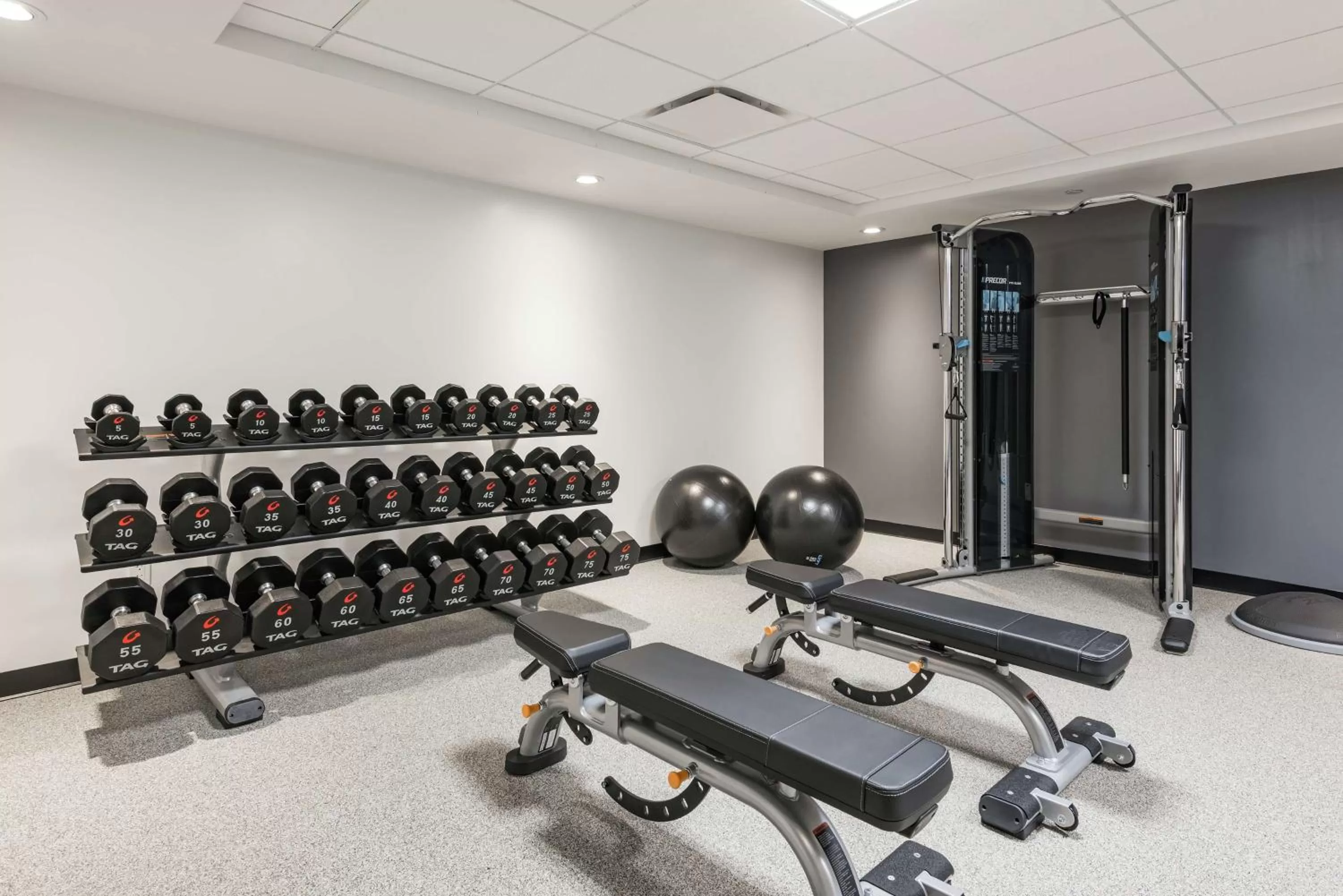 Fitness centre/facilities in Homewood Suites By Hilton Ottawa Downtown