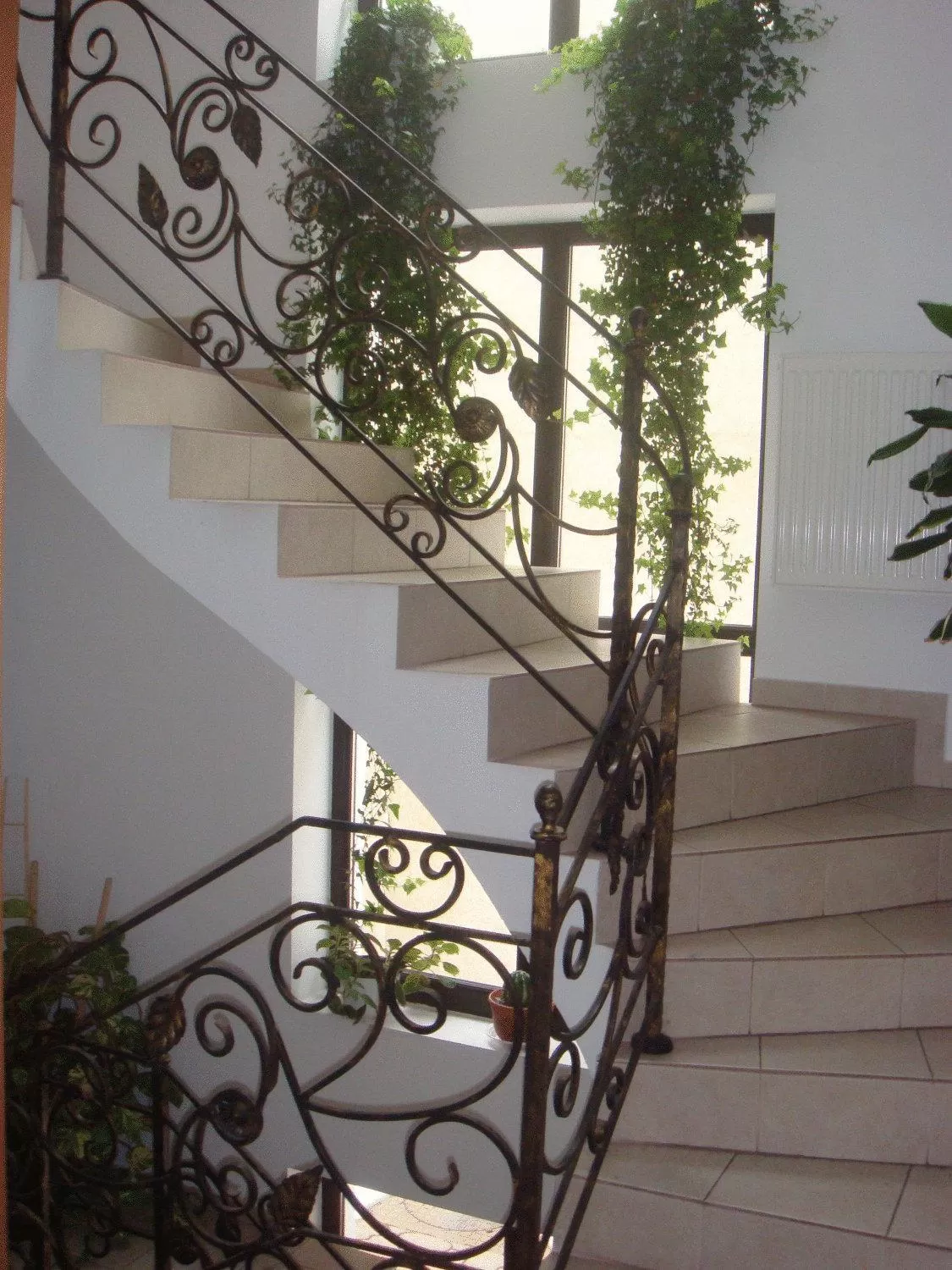 Decorative detail in Villa Edera Residence - Gazda Profesionista