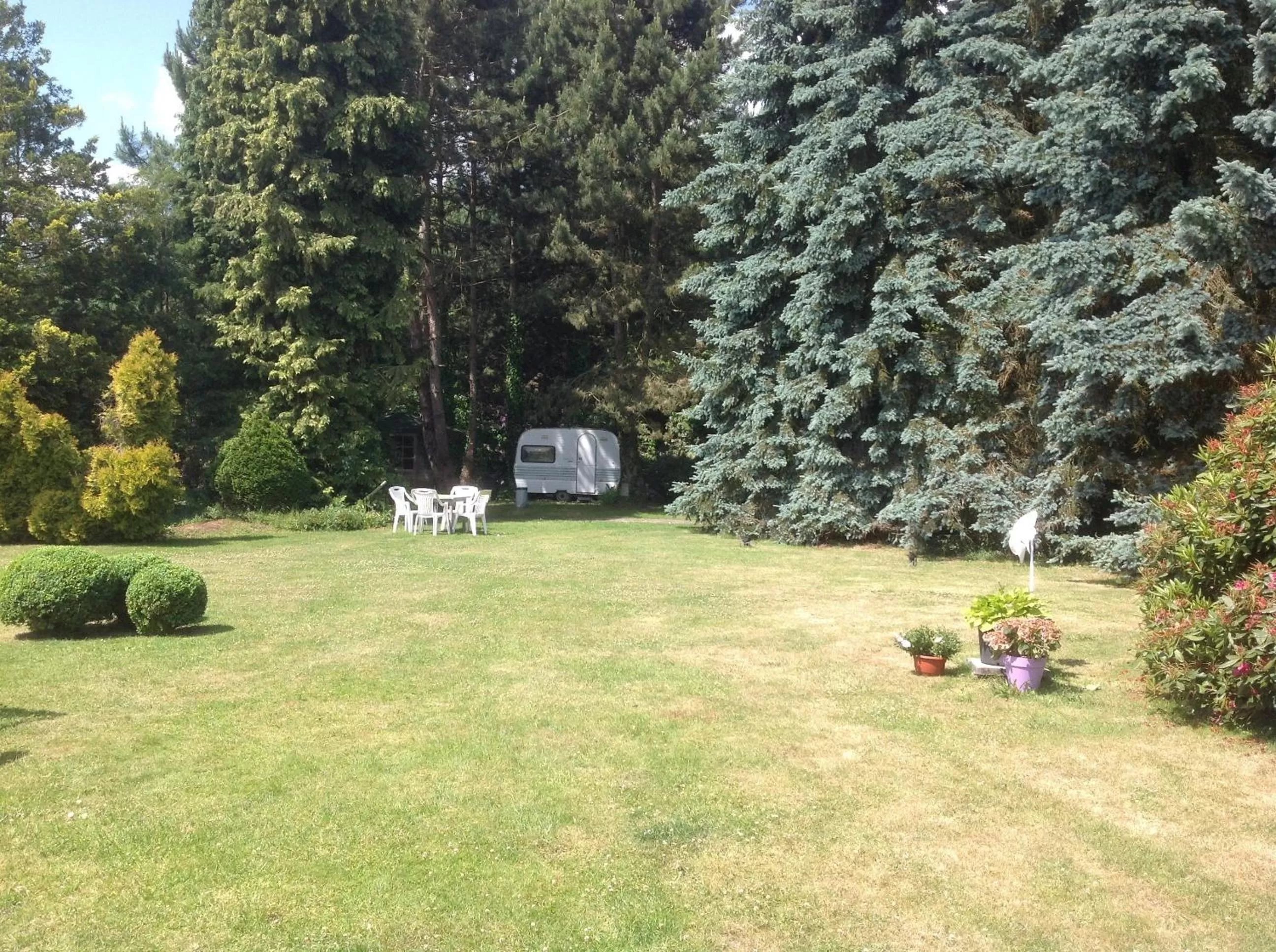 Garden in Guesthouse 't Goed Leven