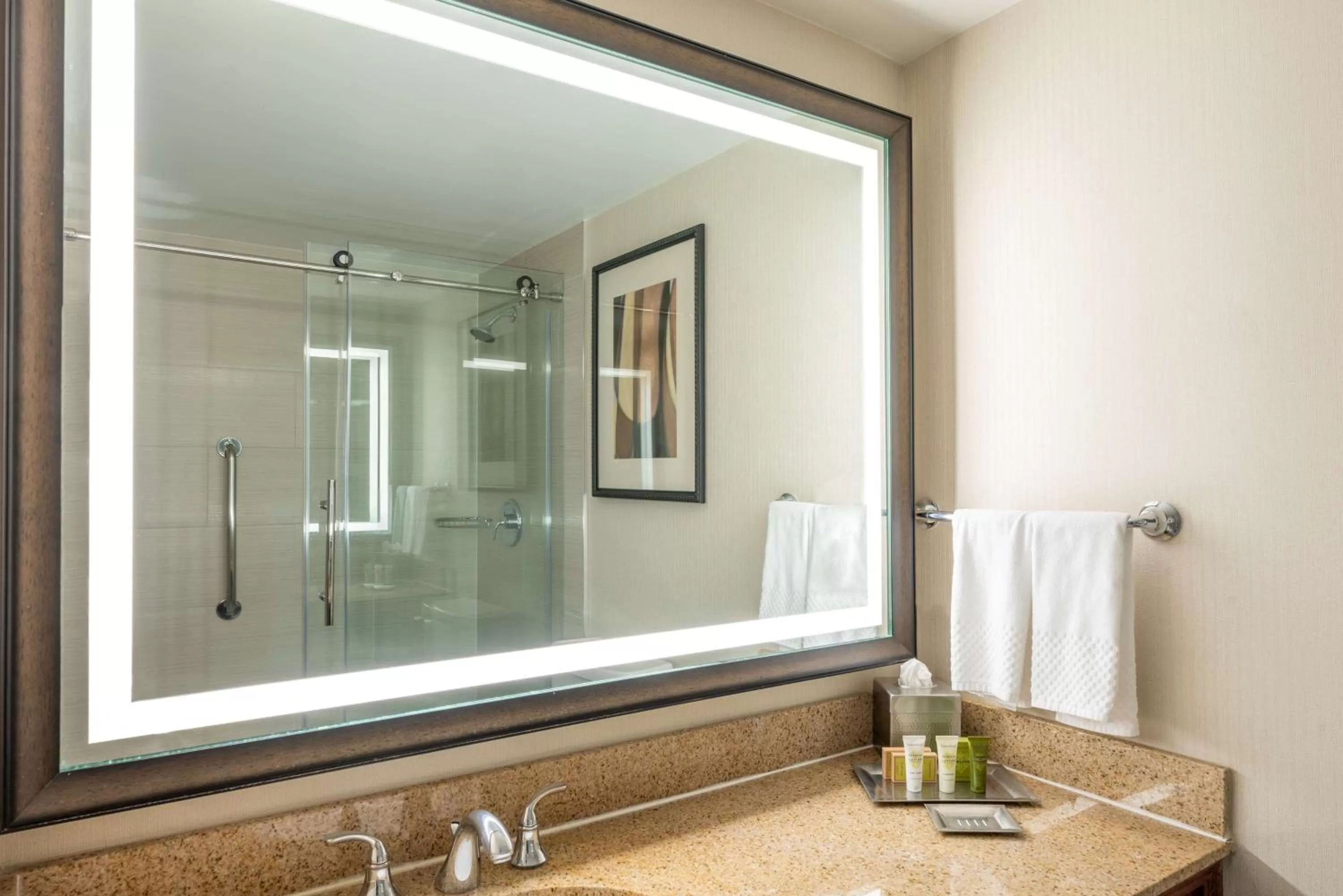 Bathroom in Hilton Alexandria Mark Center