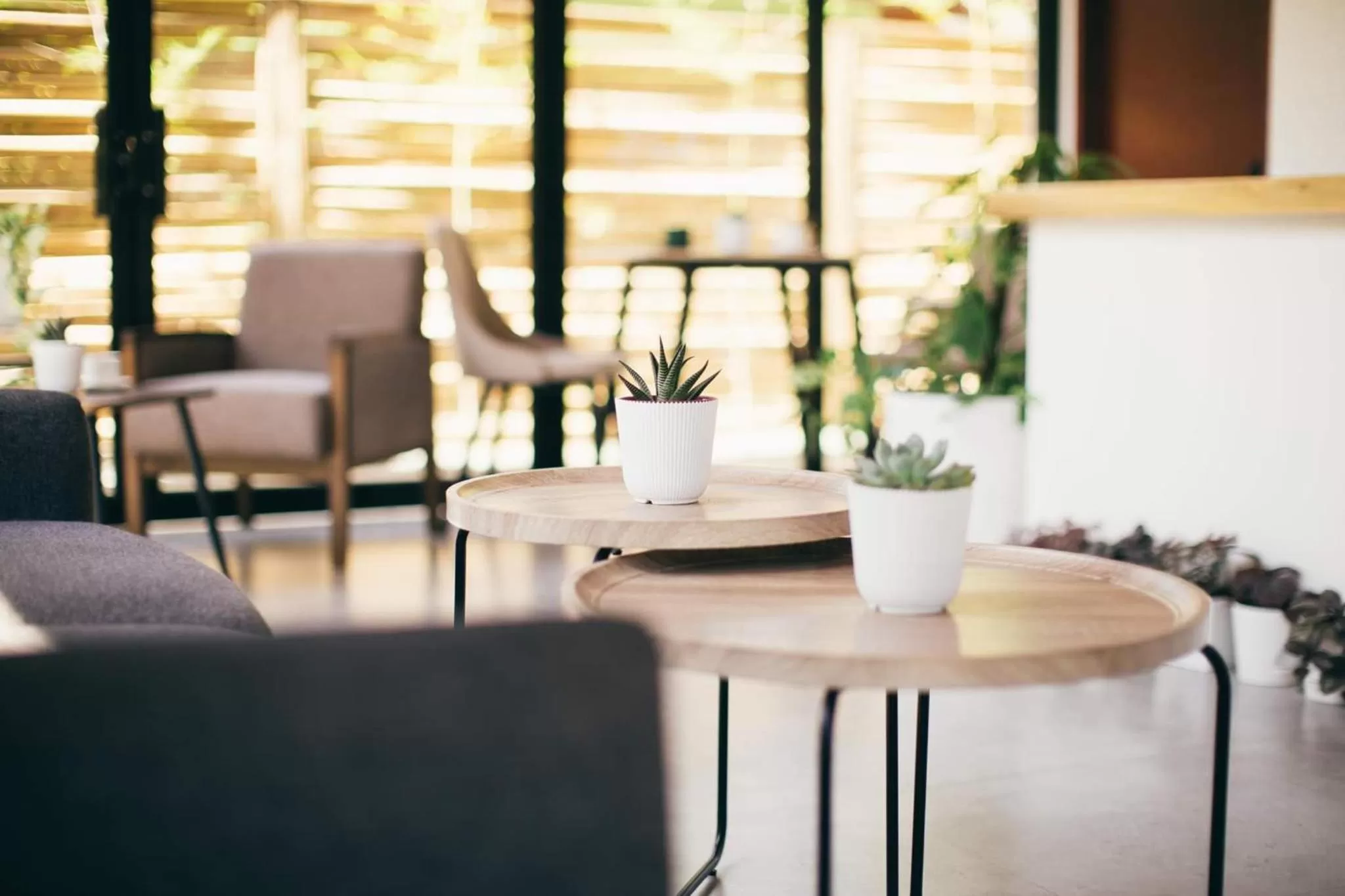Dining area in Summer Days