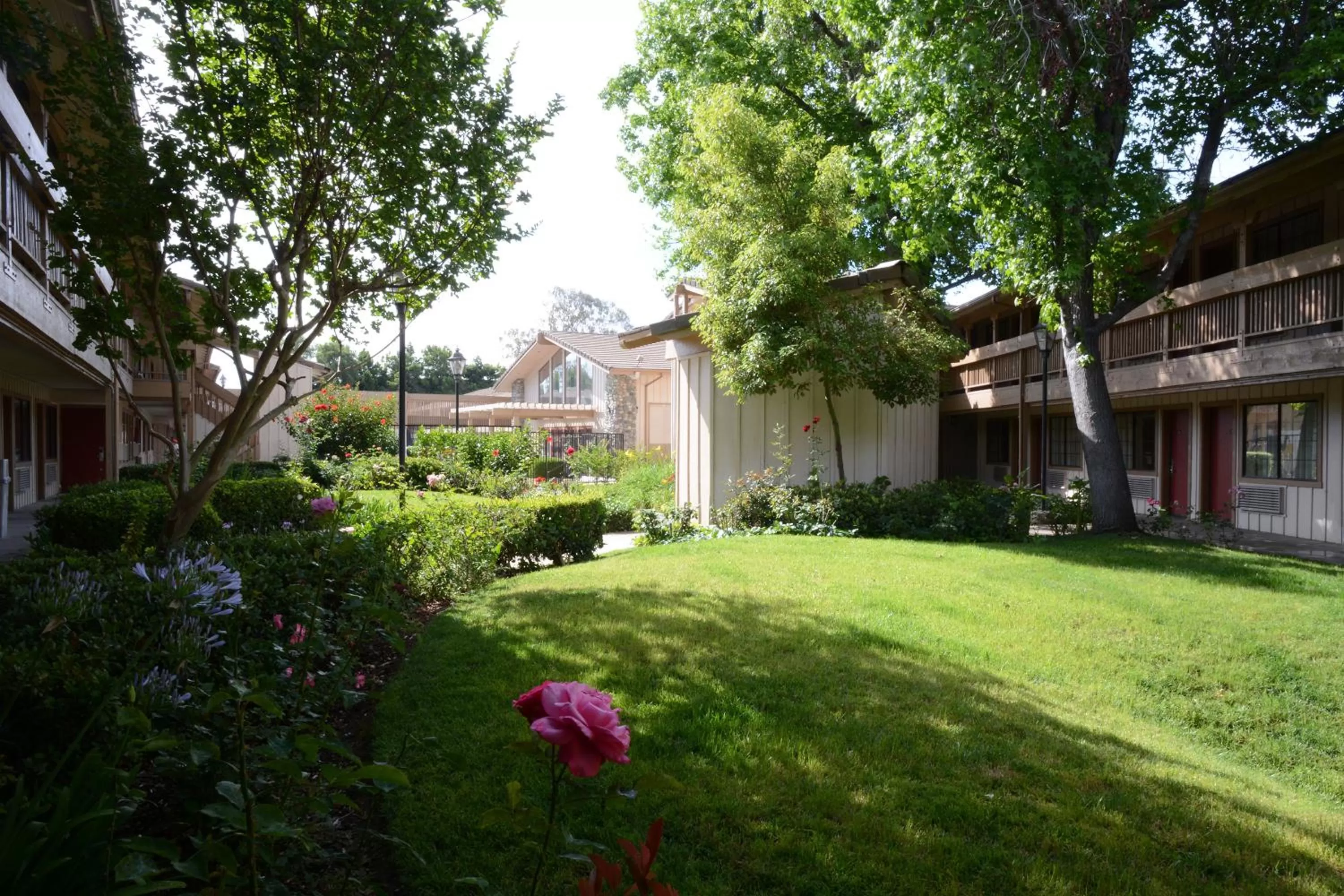 Property building in Red Roof Inn San Dimas - Fairplex