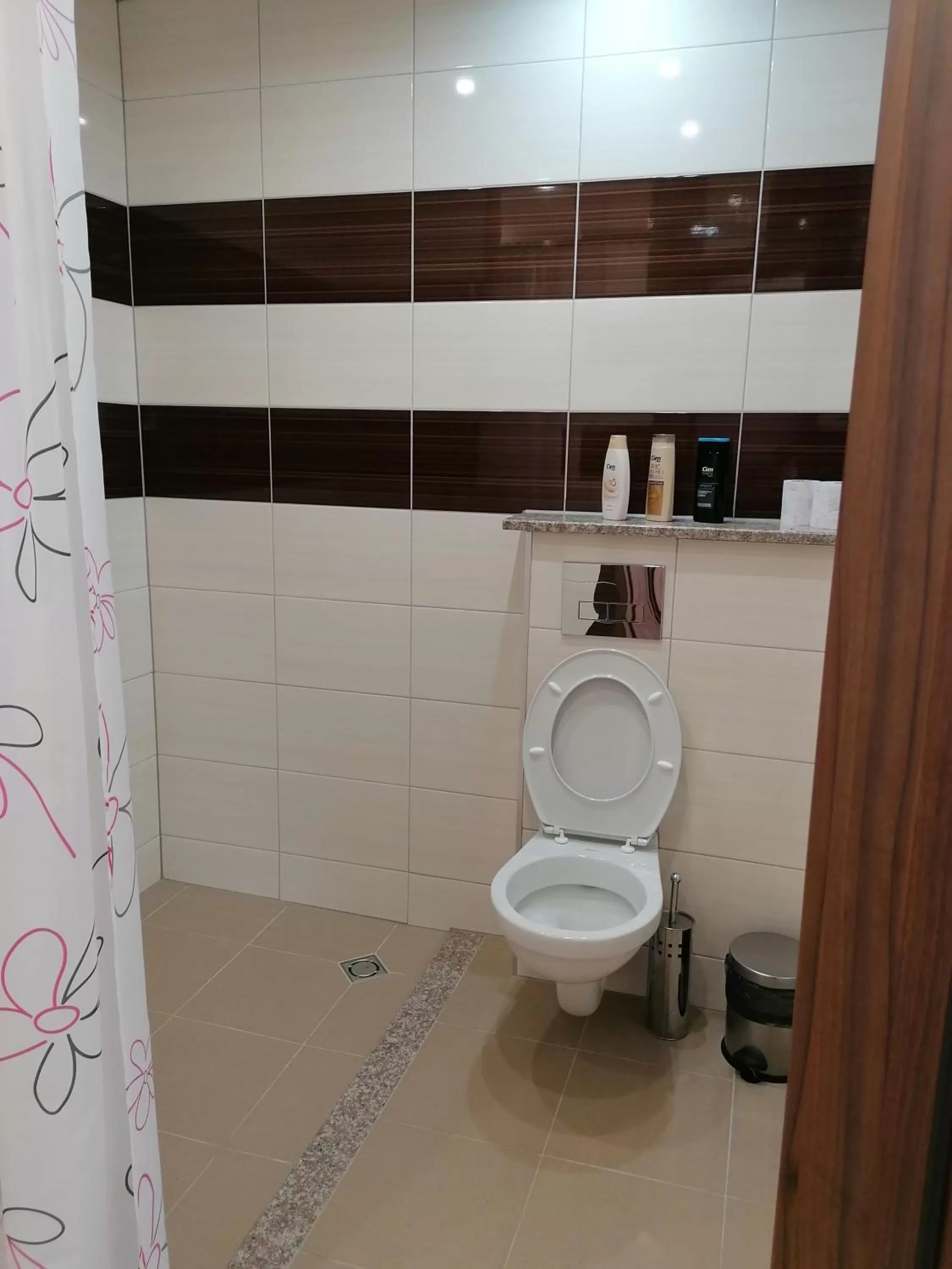 Shower in Hotel Lago Peshtera