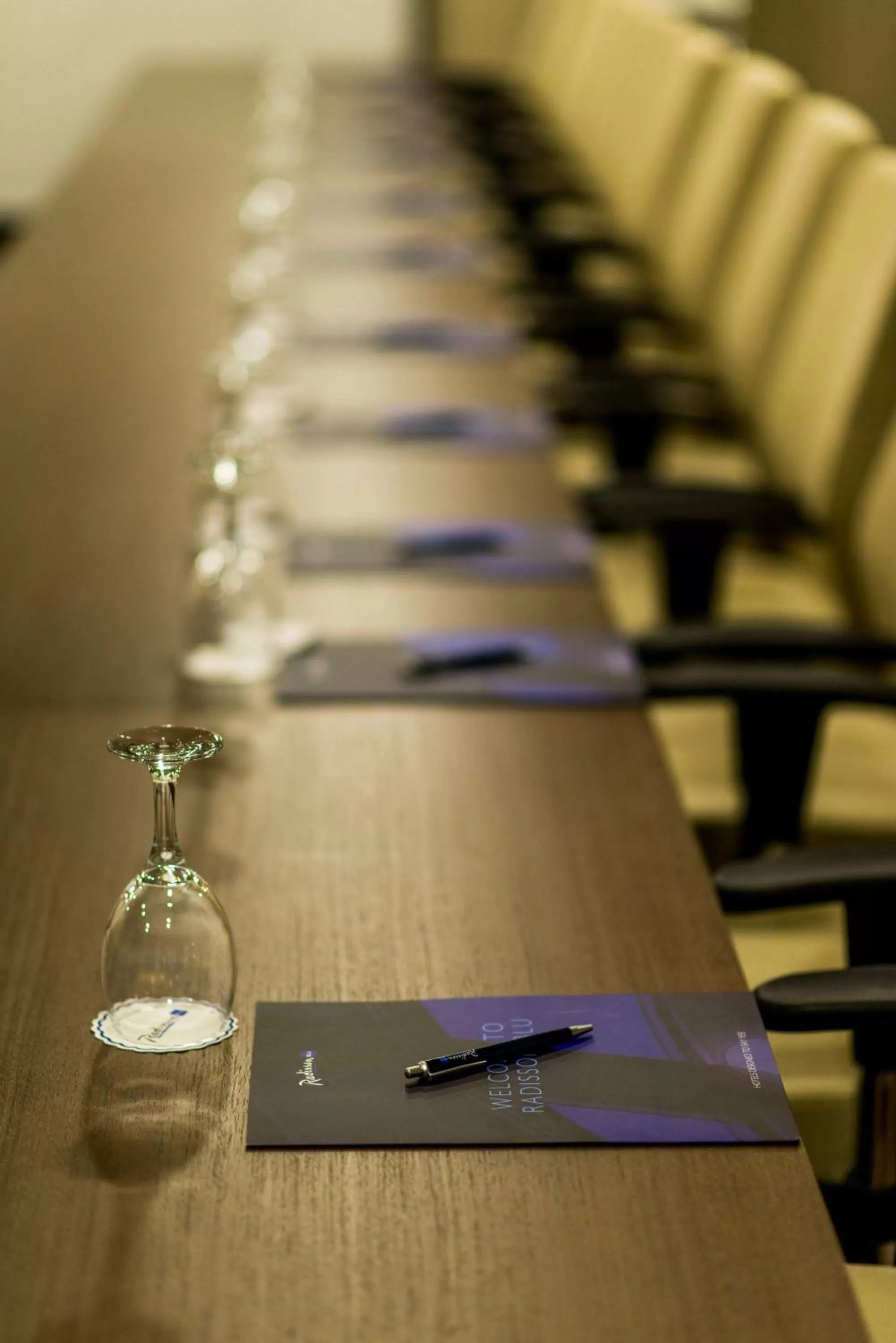 On site in Radisson Blu Hotel, Ordu