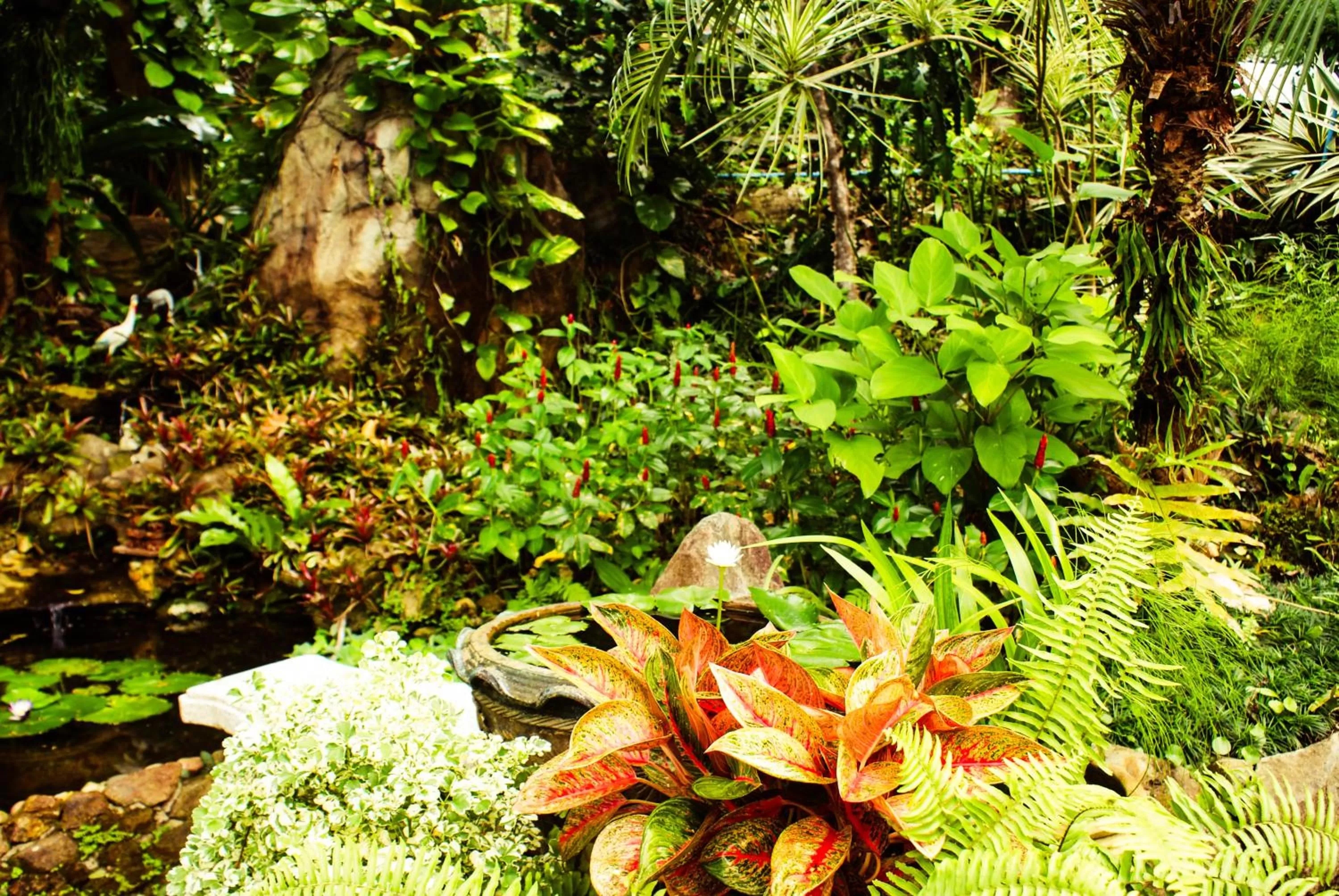 Garden view in Rock Inn Bailan