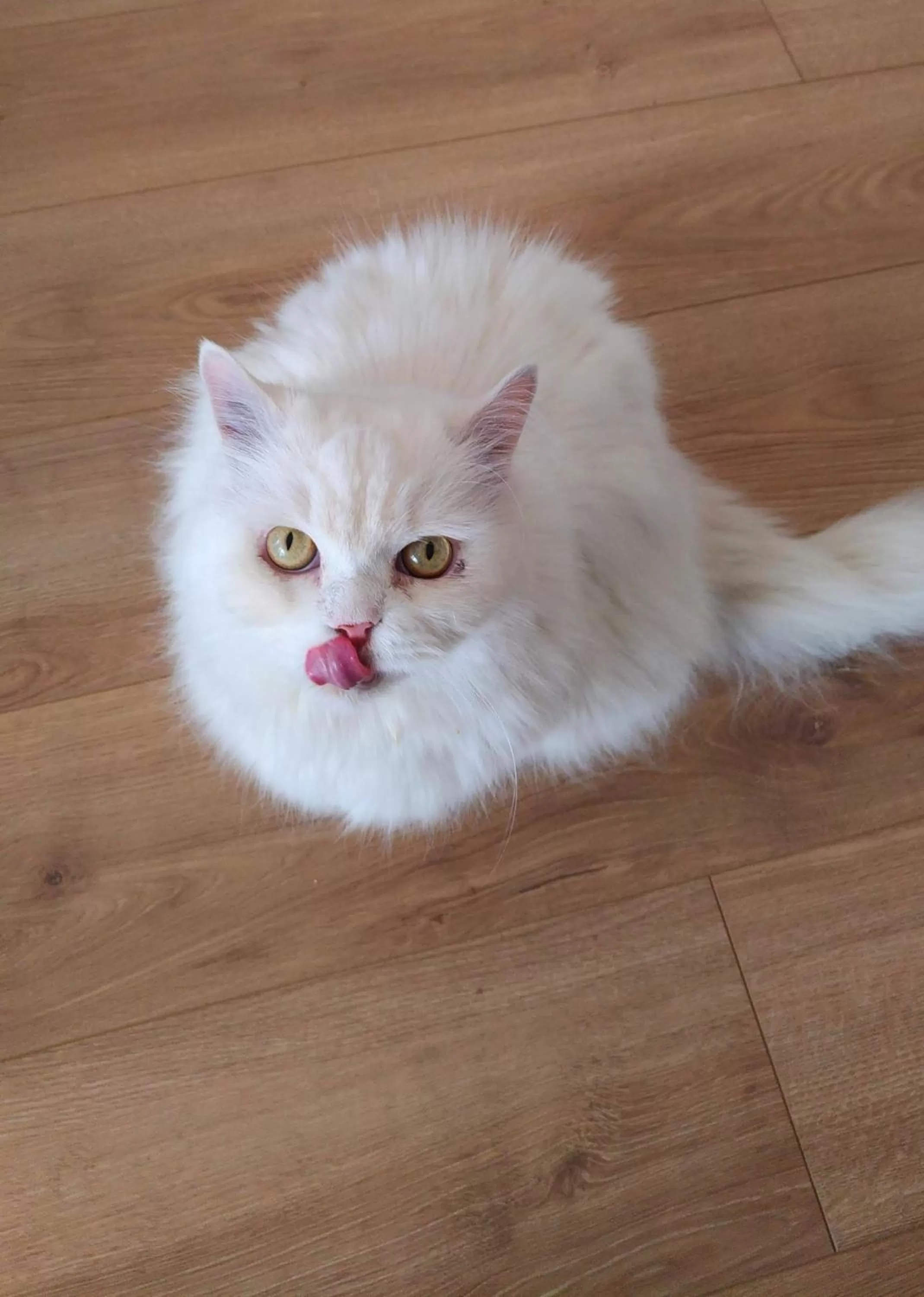 Staff in B&B Be Home