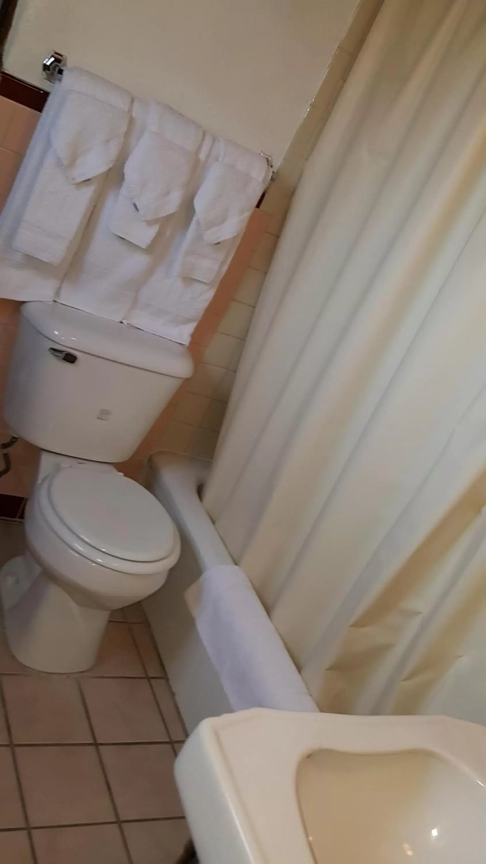 Family Room 2 Queen Beds - Non Smoking in Cottonwood Court Motel Family Room 2 Queen Beds - Non Smoking in Cottonwood Court Motel