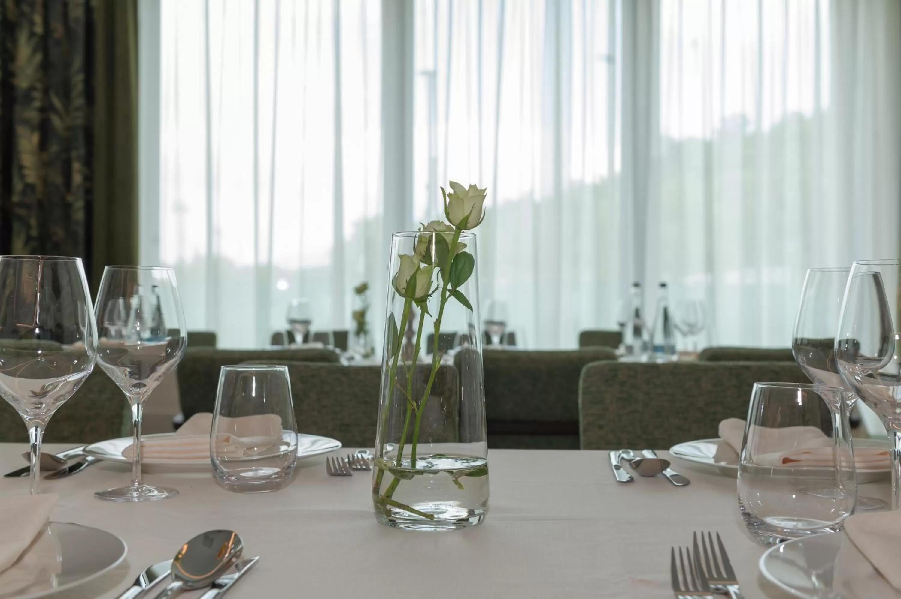 Restaurant/places to eat in Hotel Codrişor