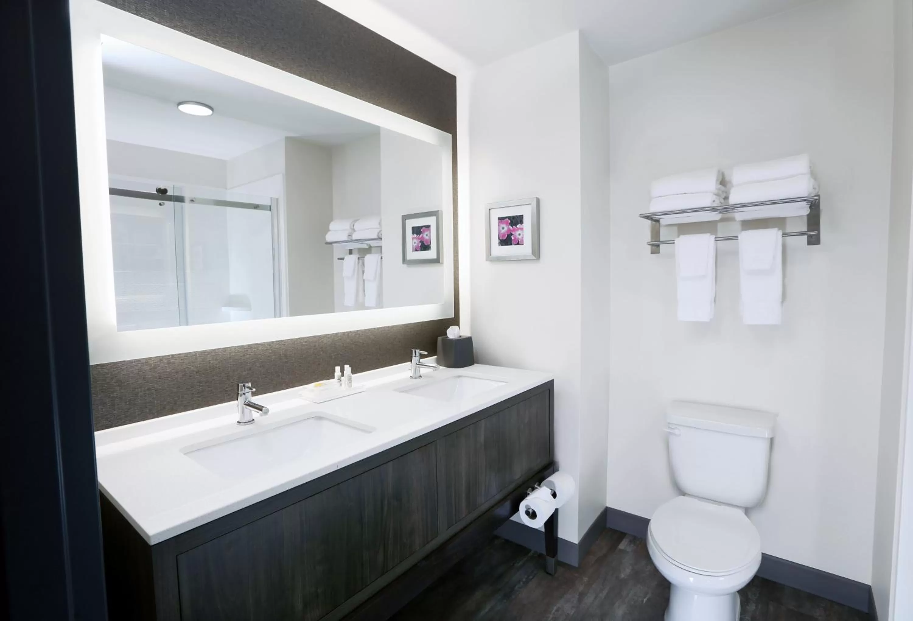 Bathroom in Holiday Inn & Suites Sioux Falls - Airport by IHG