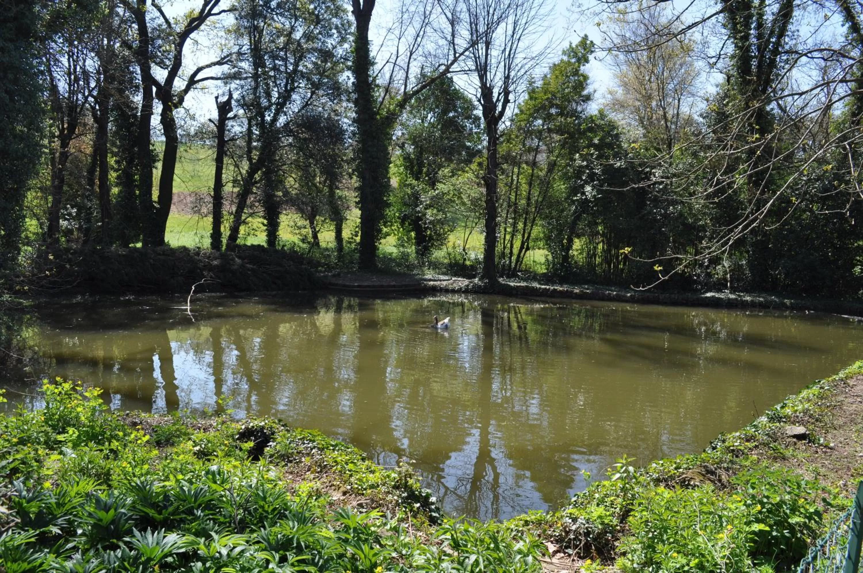 Bed in Armonie di Villa Incontri B&B