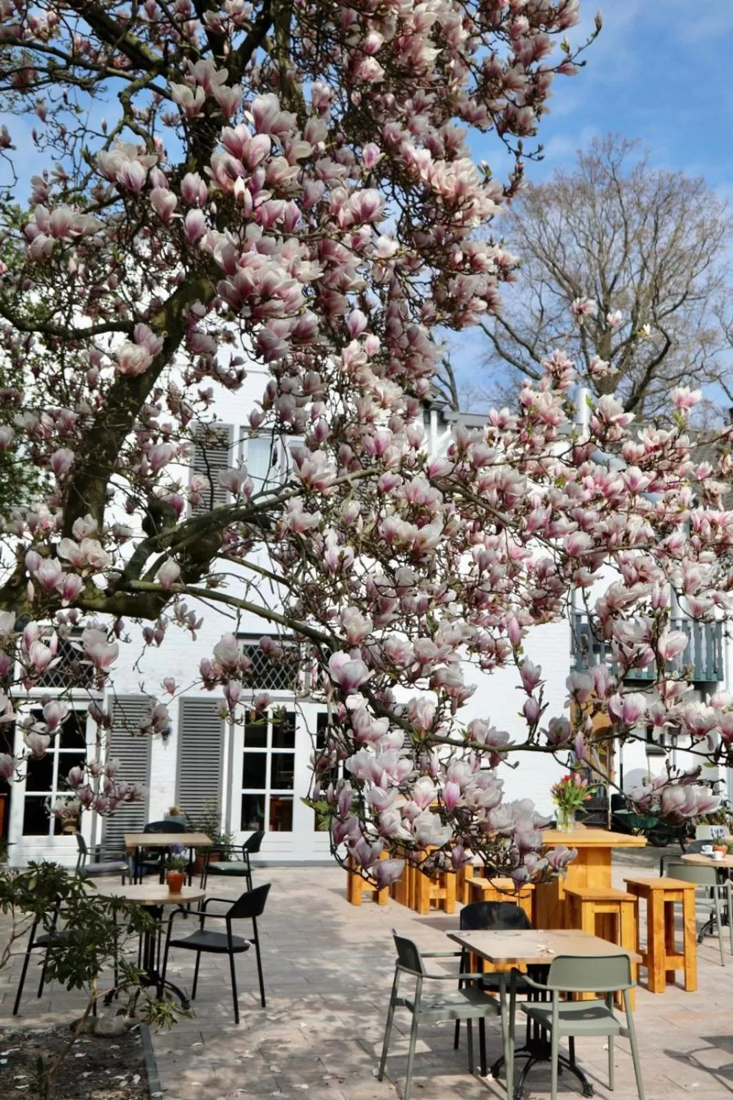 Balcony/Terrace in Hotel De Gravin van Vorden