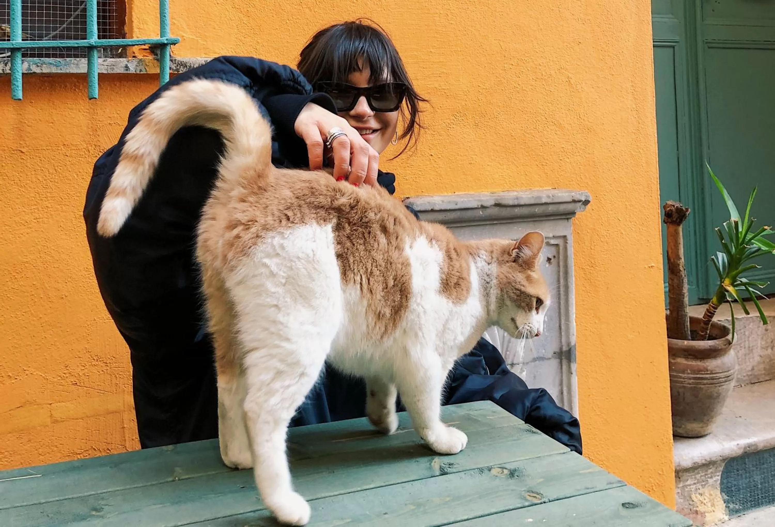 People in House MOLA Galata