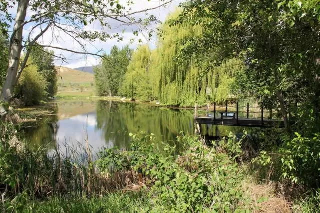 Garden in Casia Lodge and Ranch