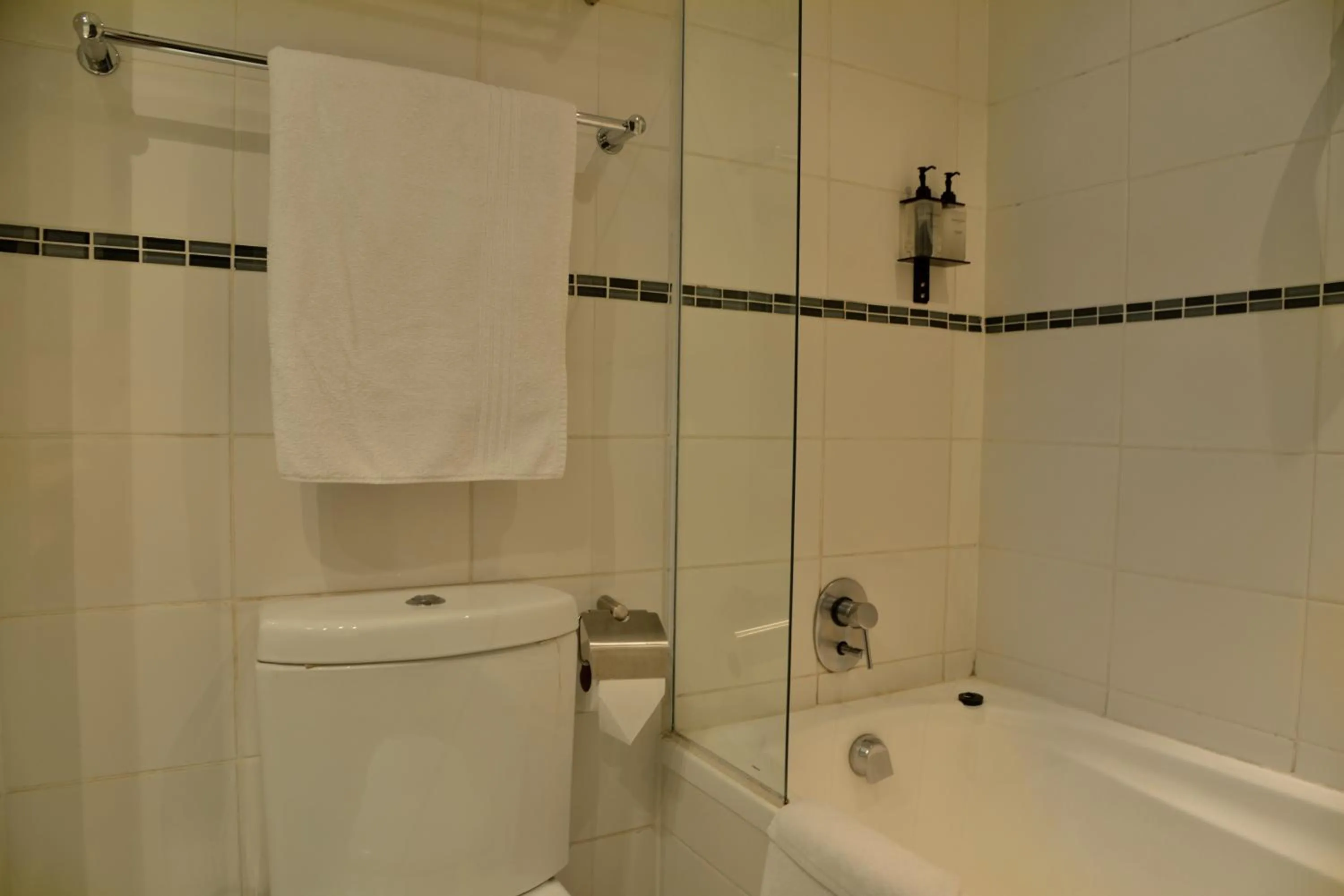 Toilet in Fountains Hotel