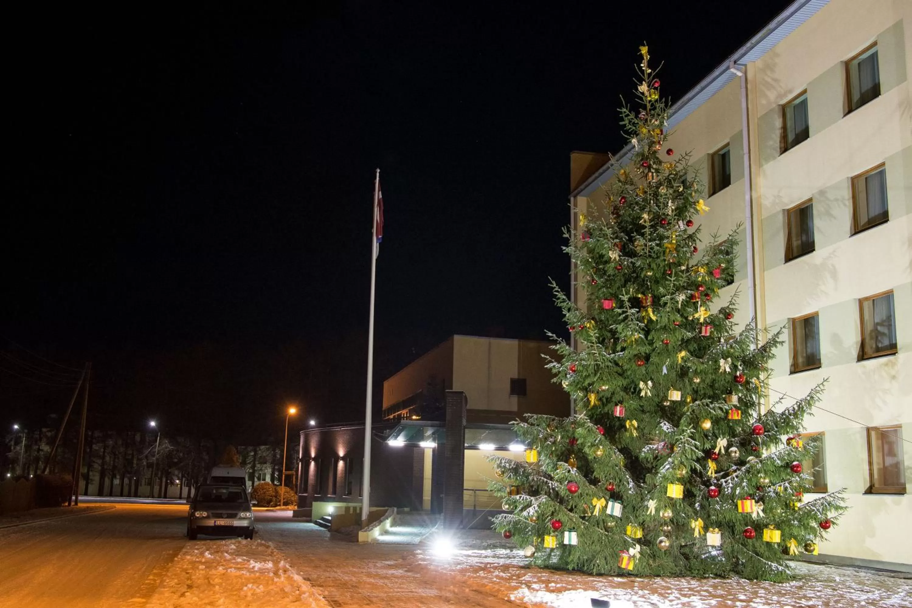 Garden in Hotel Tigra