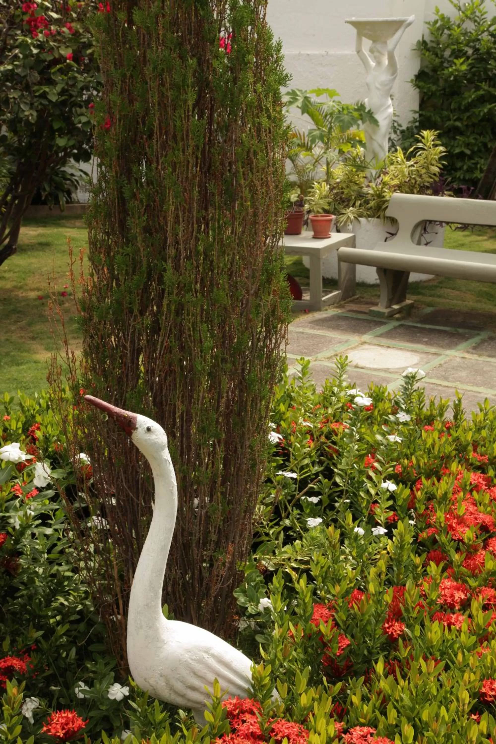 Day, Other Animals in Hotel Jardim