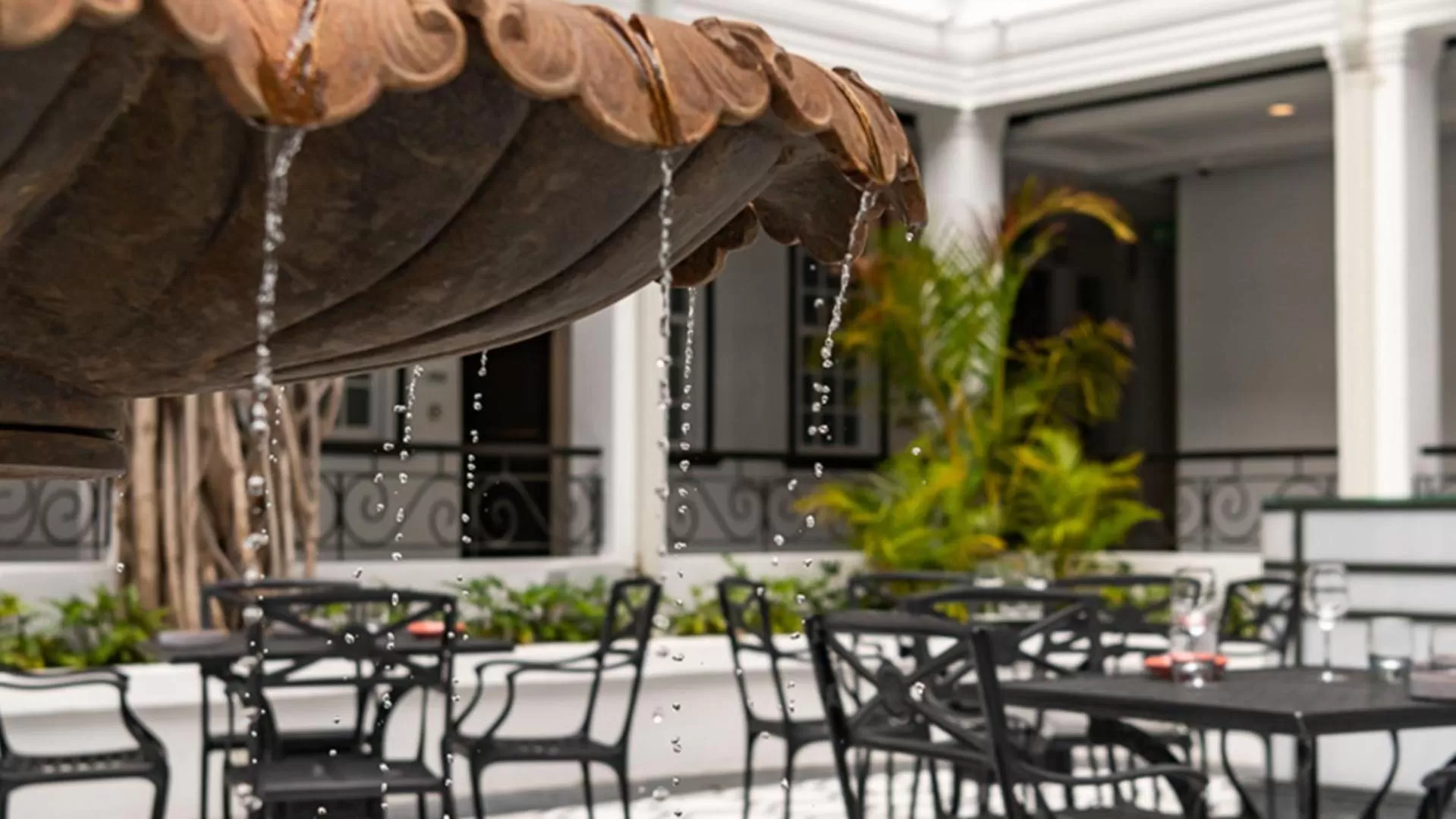 Restaurant/places to eat in The Winchester Hotel by NEWMARK