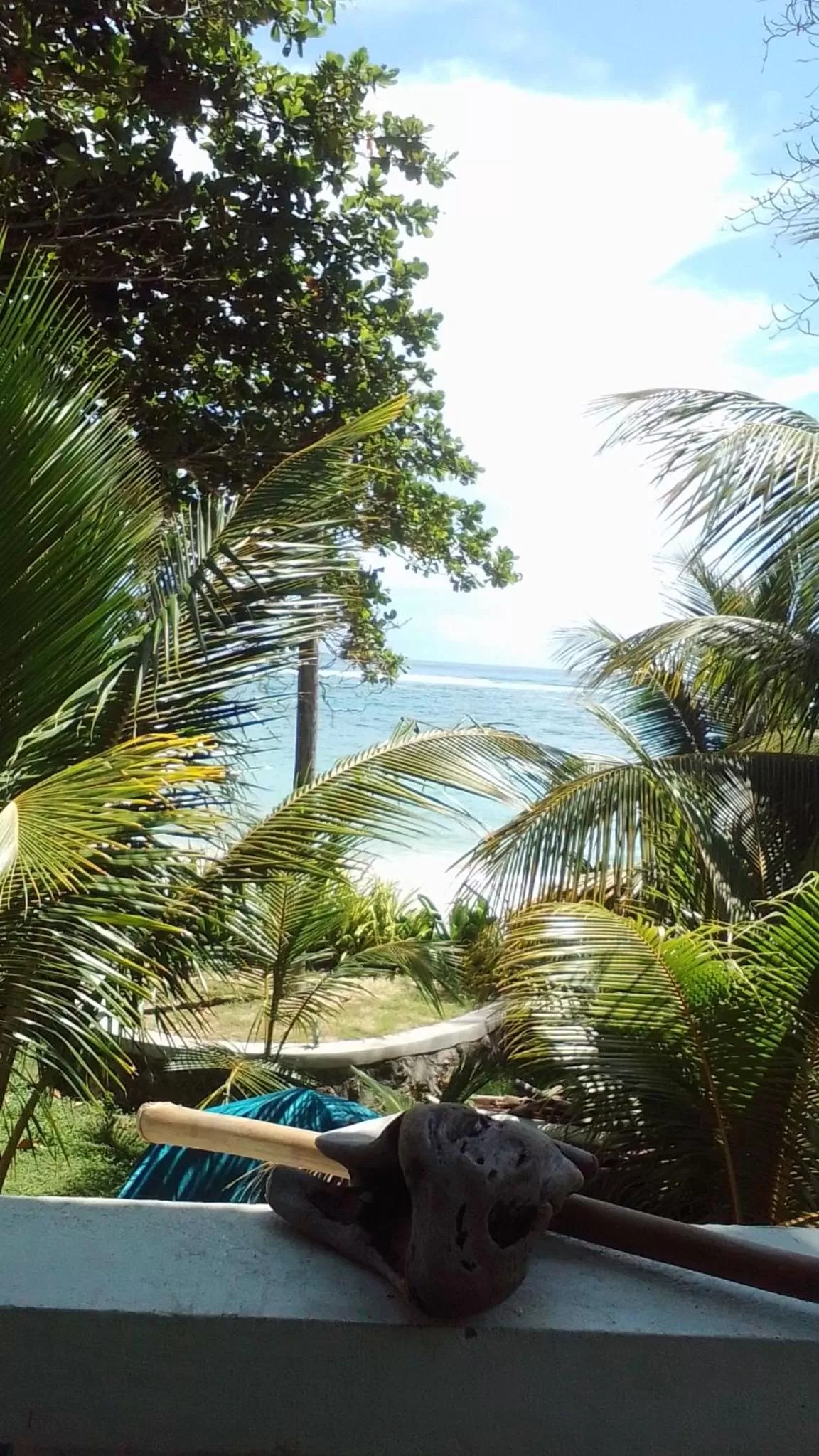 Port Antonio Brian's Beach House