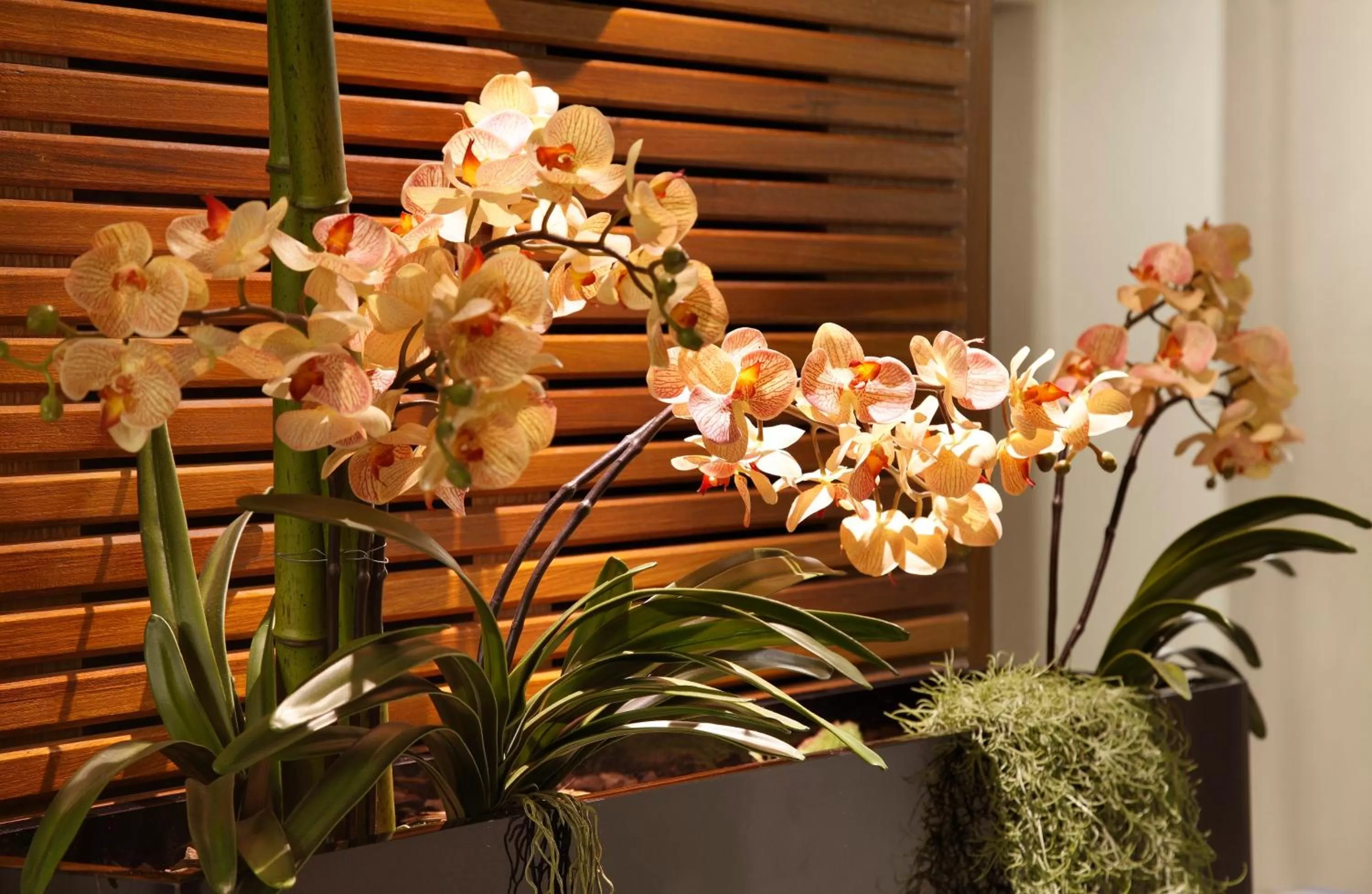 Lobby or reception in Copa Sul Hotel