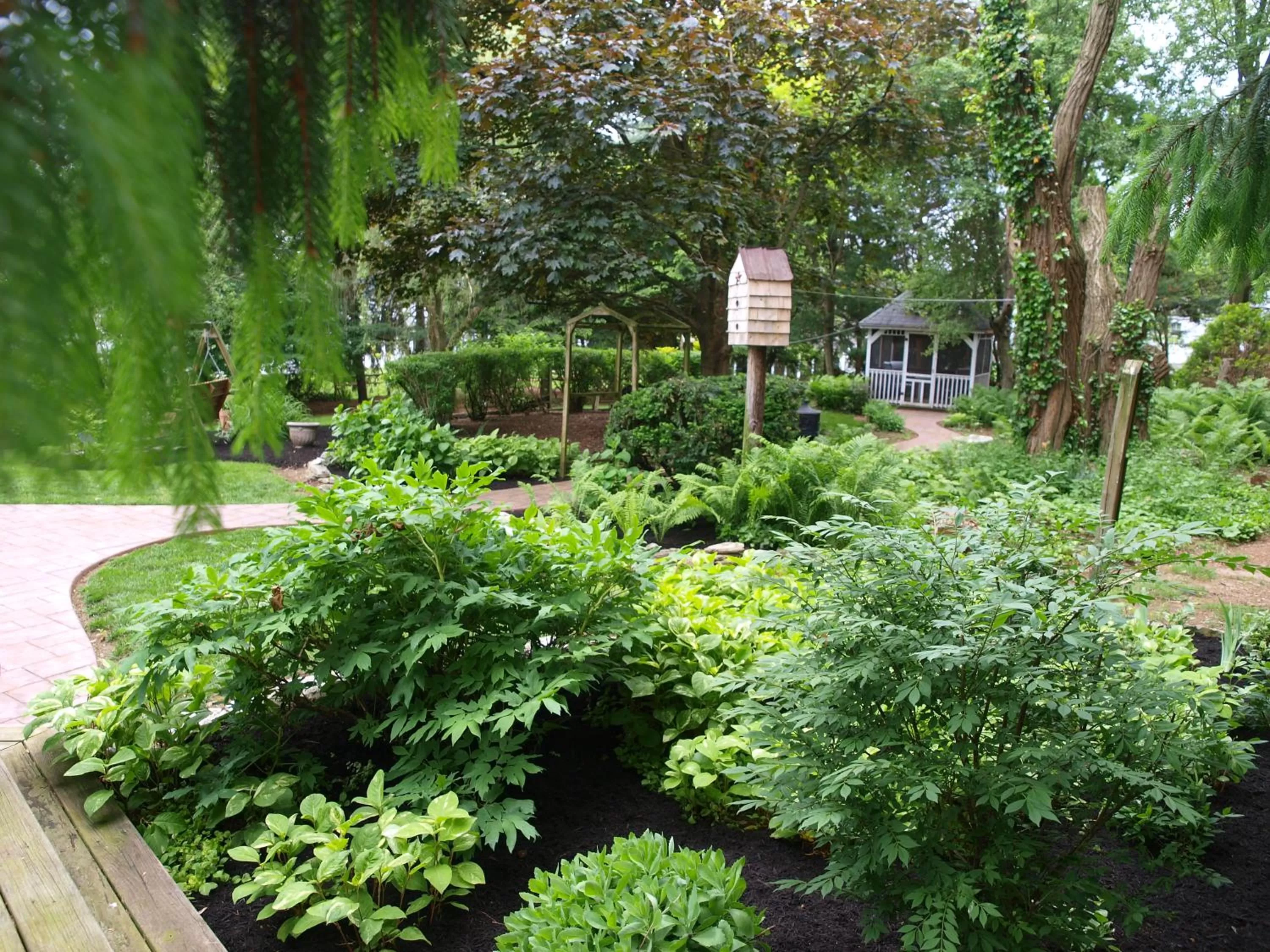 Garden in 1825 Inn Bed and Breakfast