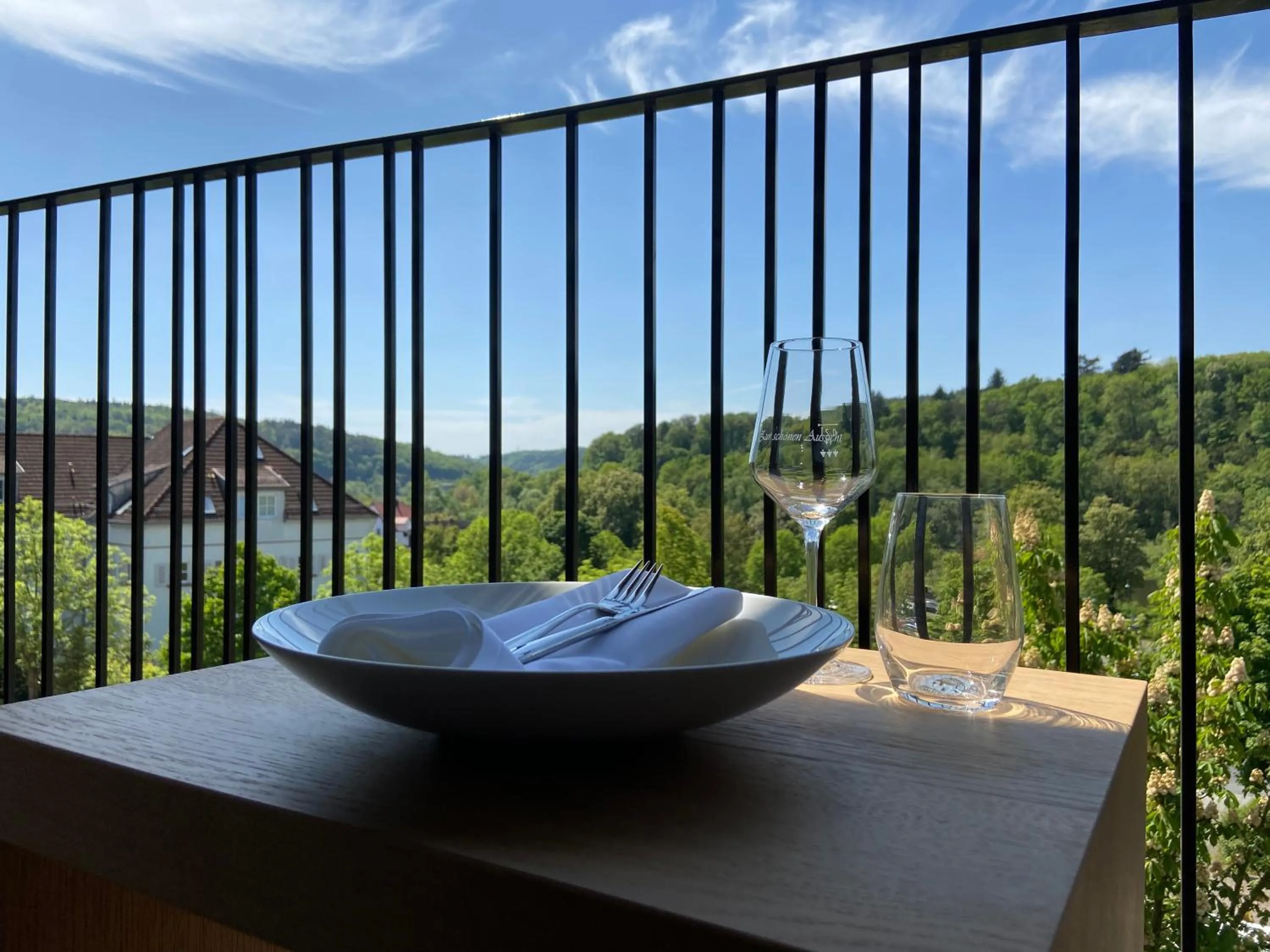 Balcony/Terrace in Hotel Zur Schönen Aussicht