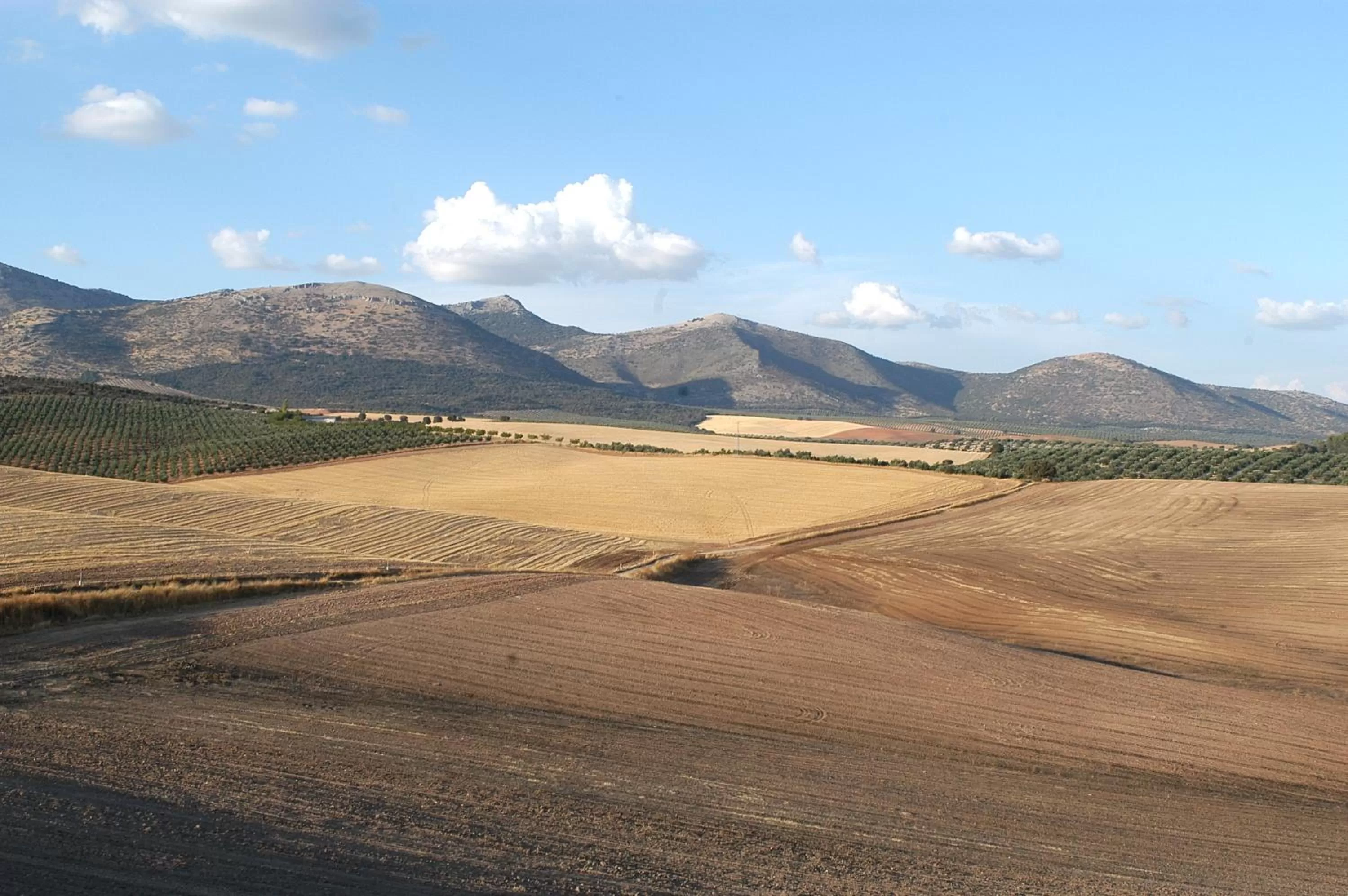 Natural landscape in Hotel Cortijo del Marqués