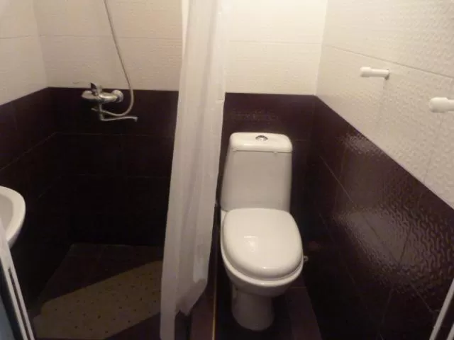 Toilet in Old Capital