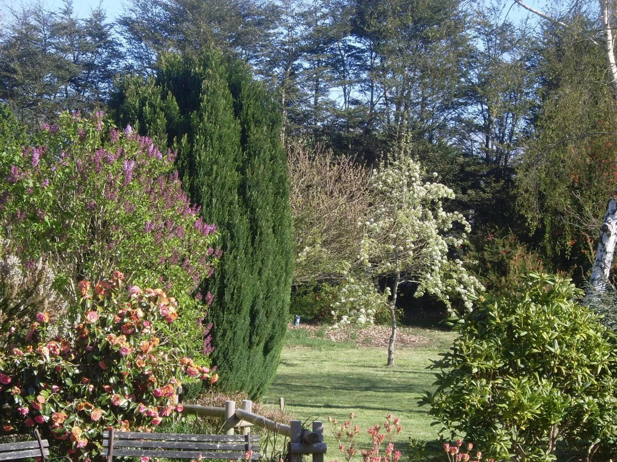 Garden in Hostal Zapato Amarillo