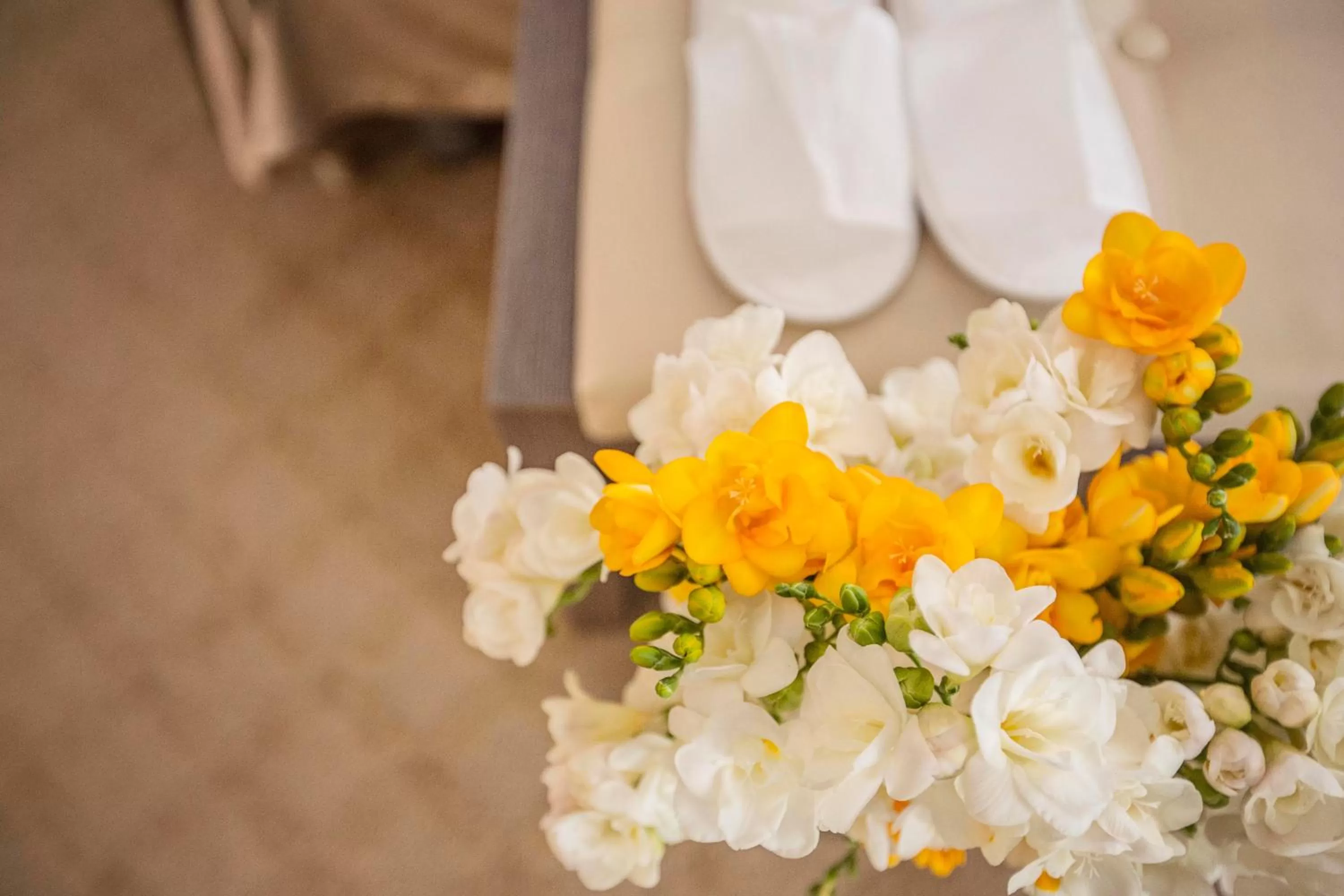 Restaurant/places to eat in Hotel Trettenero