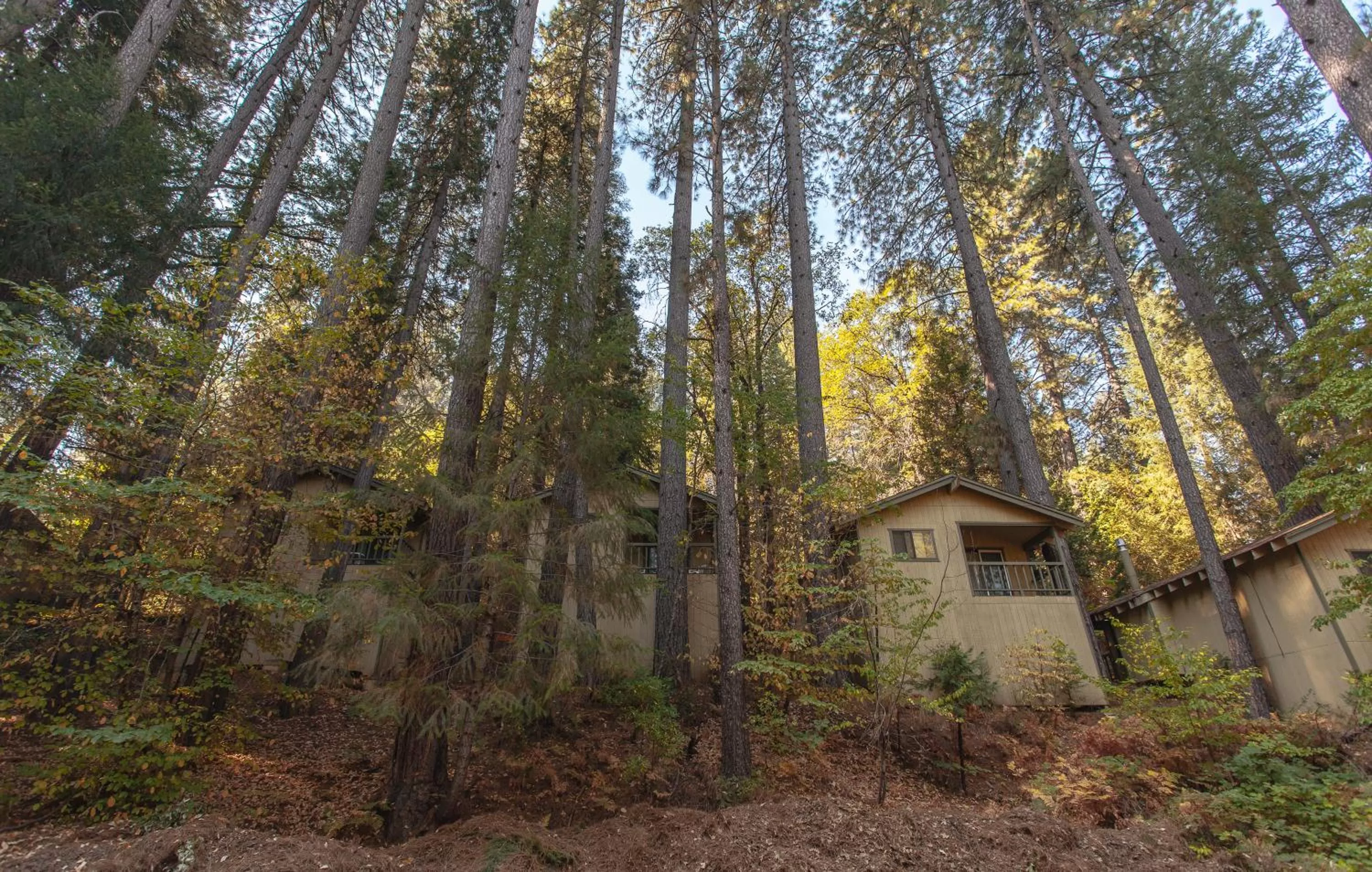 Natural landscape in Northern Queen Inn