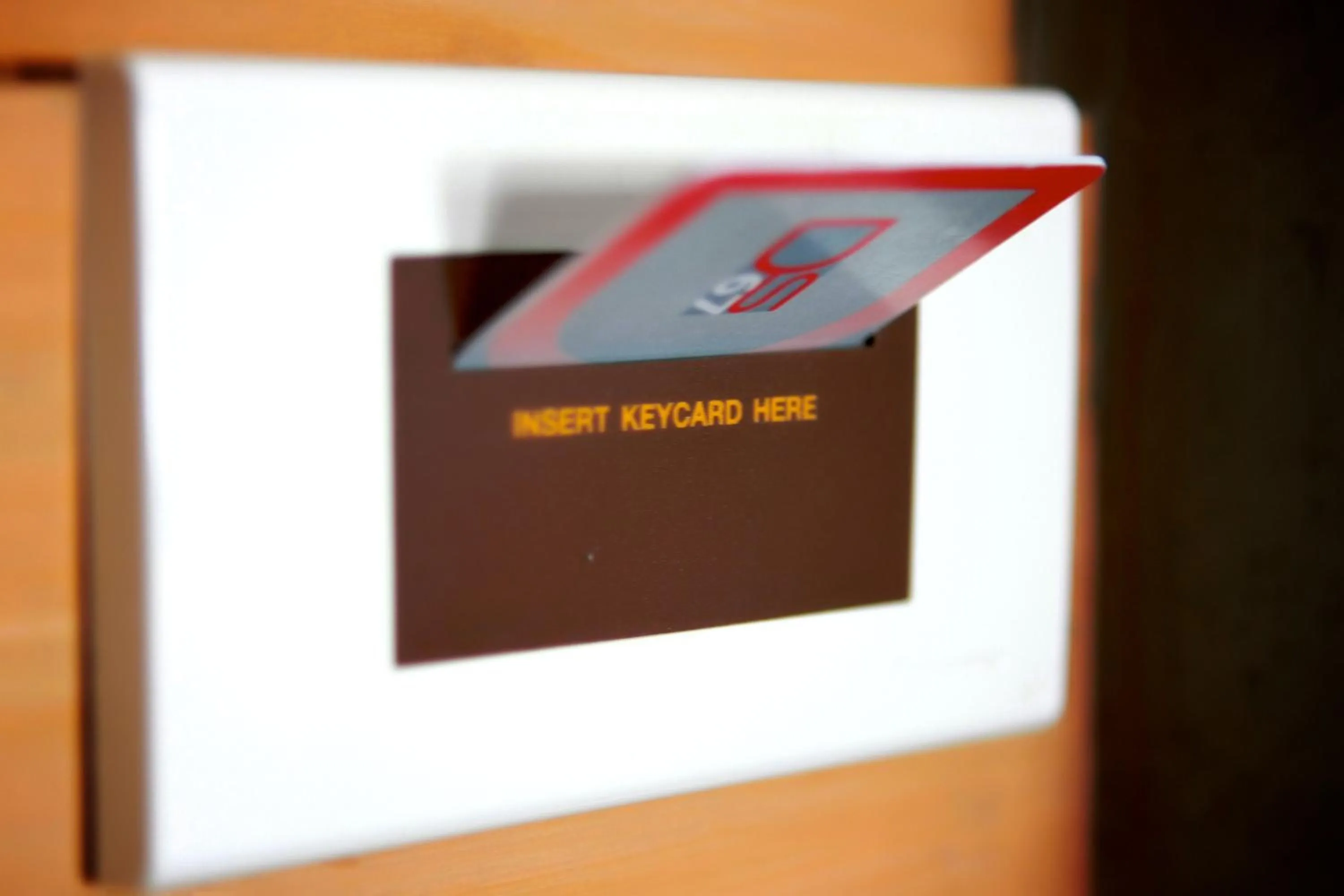 Decorative detail in Ds67 Suites