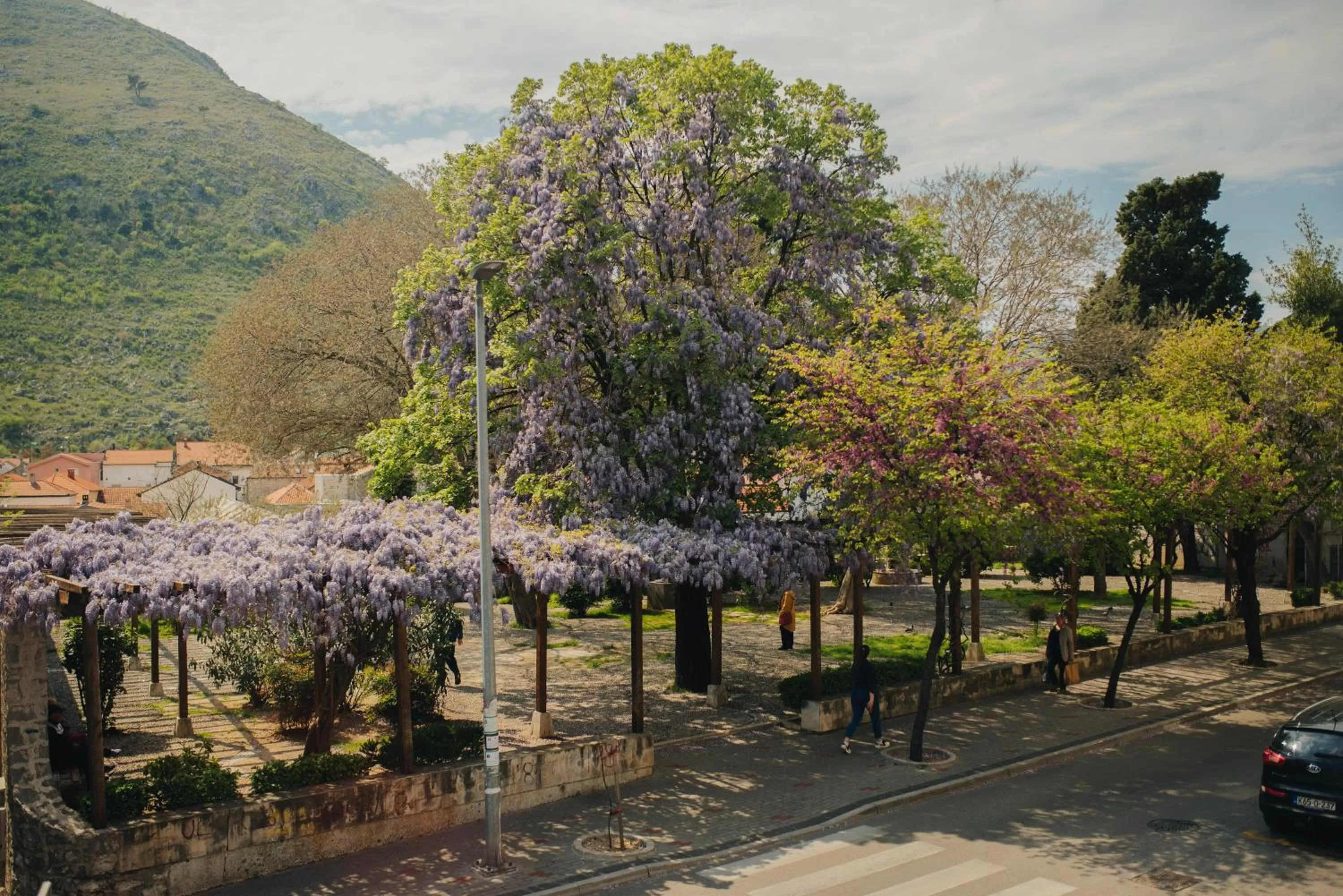 View (from property/room) in Hotel - Villa Lejla