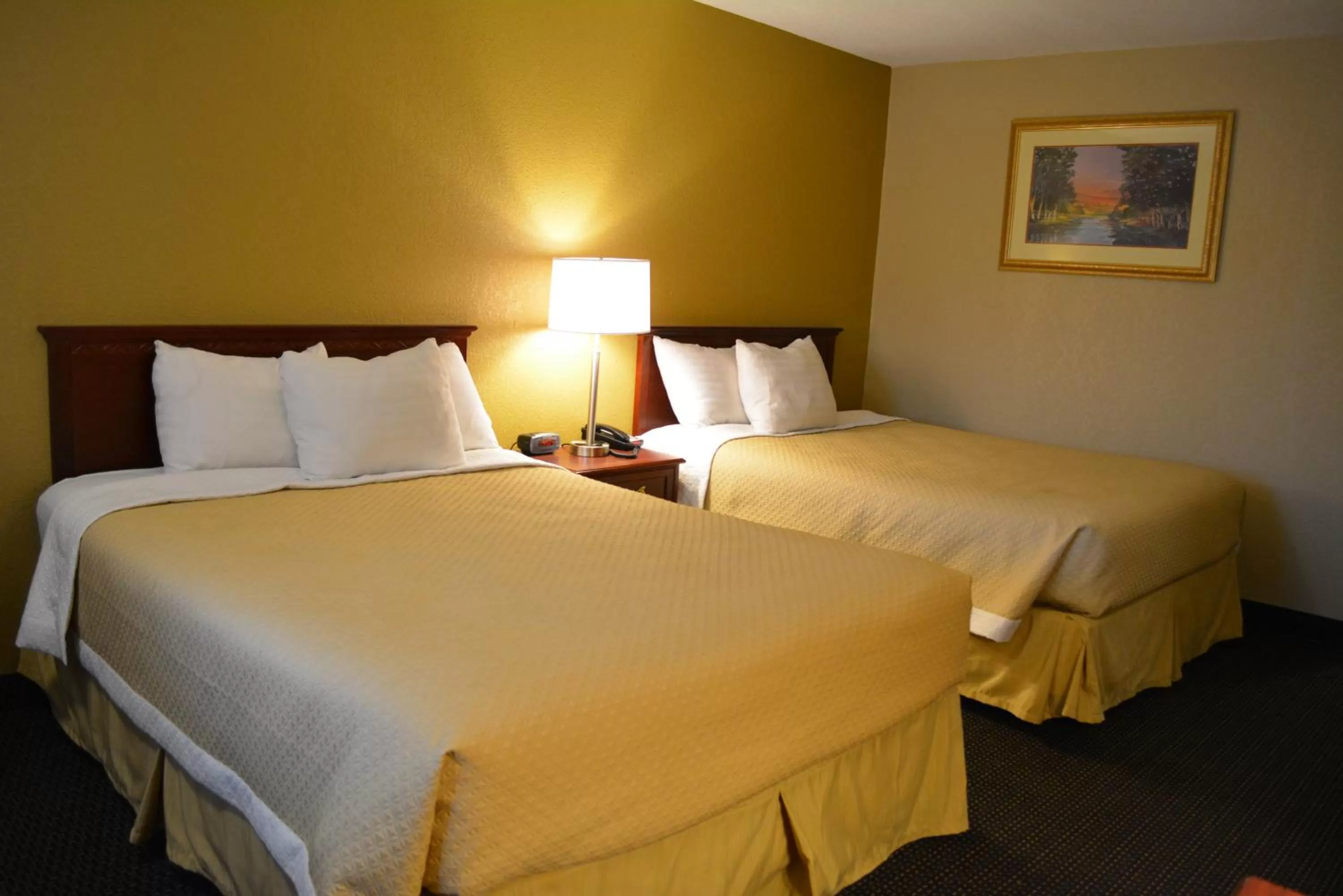 Bed in Days Inn by Wyndham Clive - West Des Moines