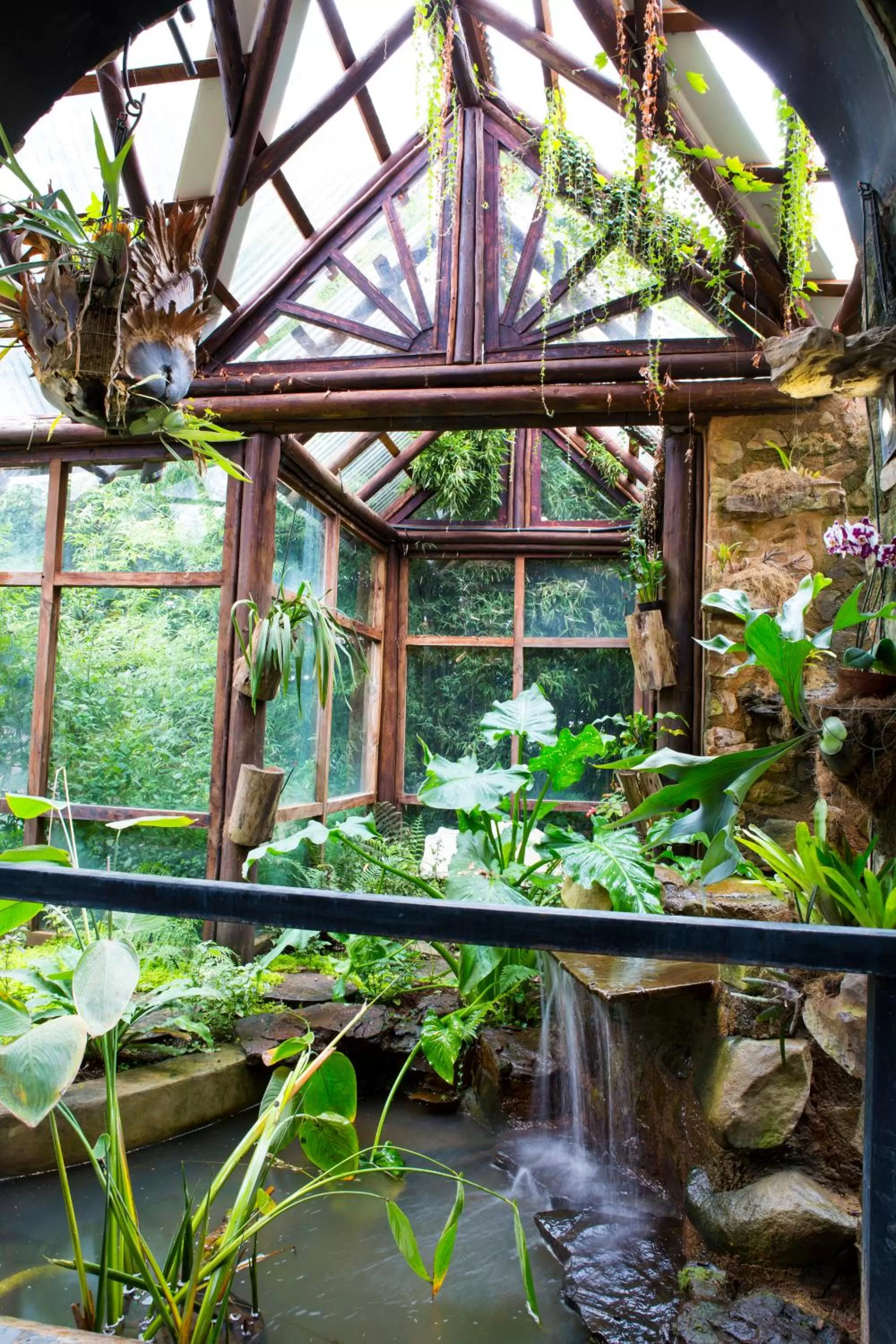 Garden in Misty Hills Country Hotel, Conference Centre & Spa