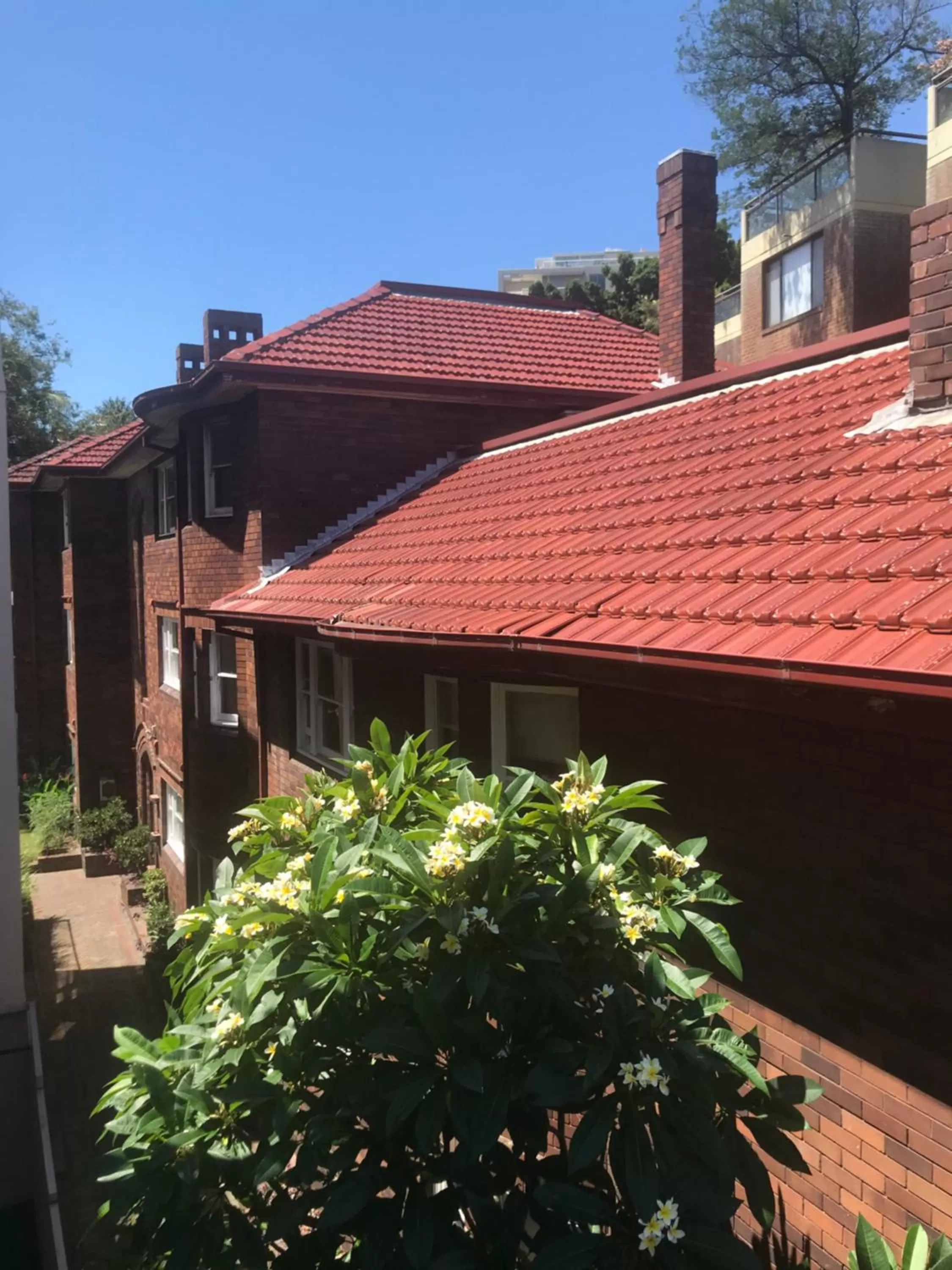 Edgecliff Lodge Motel