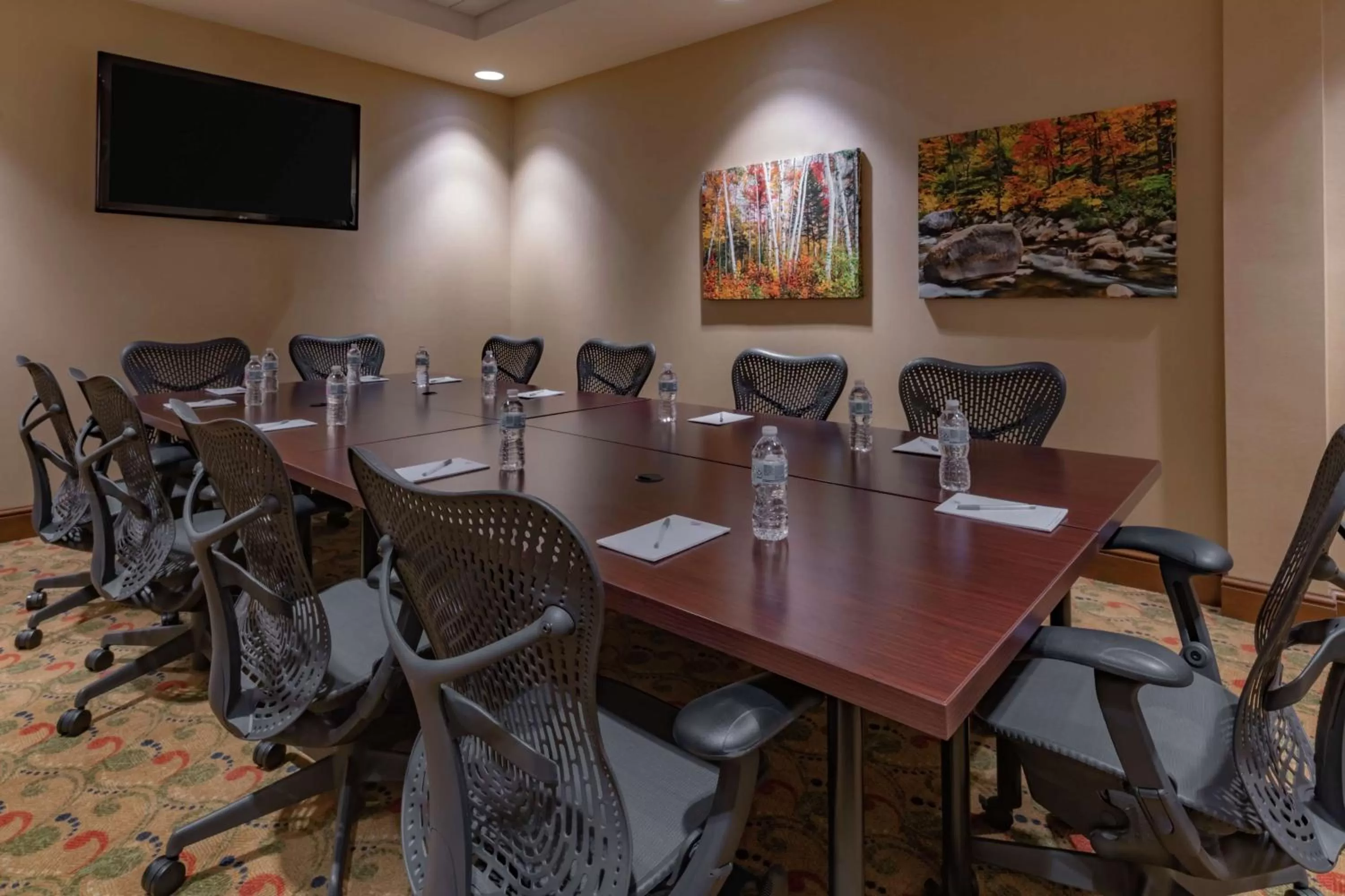 Meeting/conference room in Hilton Garden Inn Devens Common