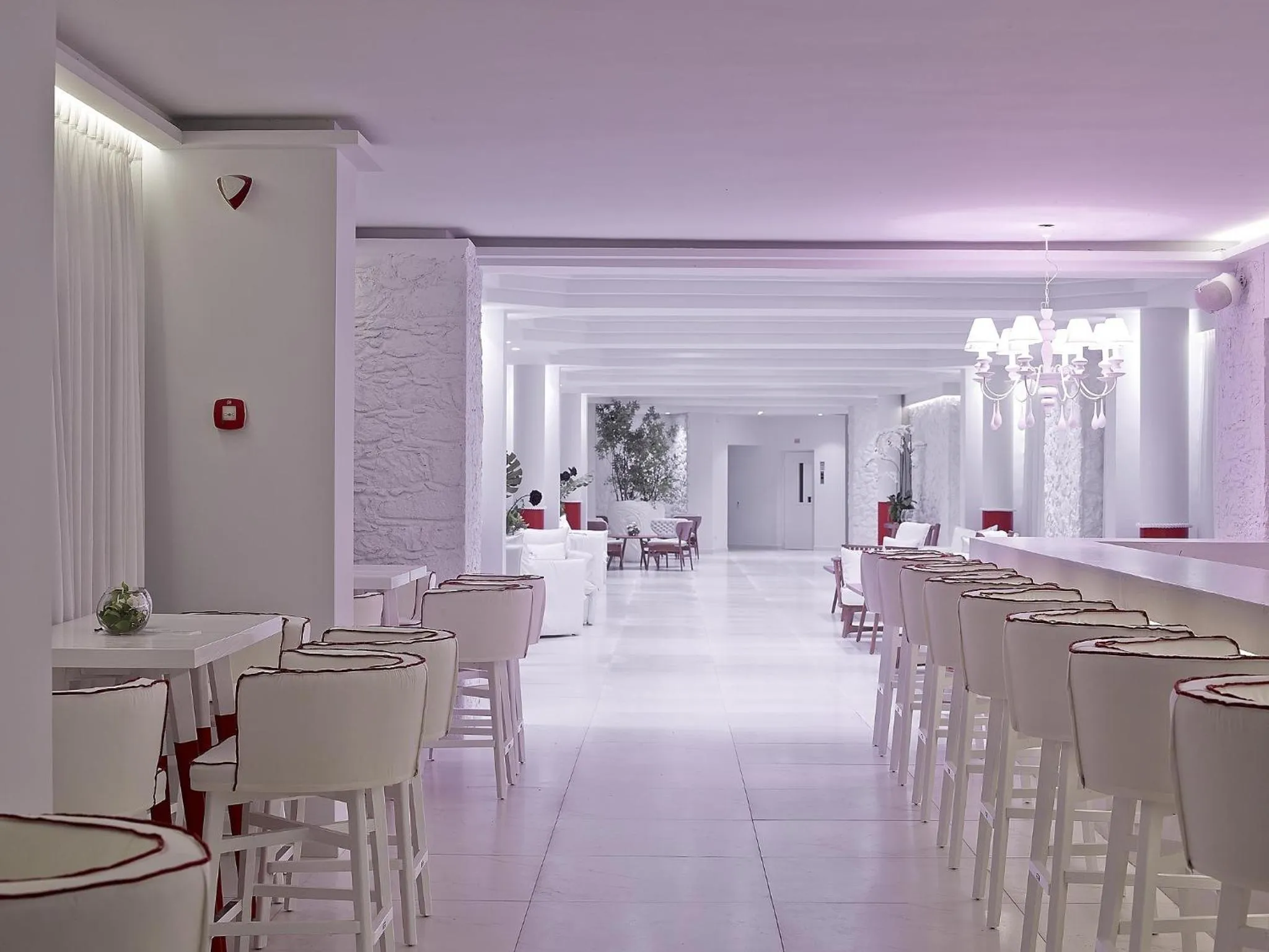 Lounge or bar in Dimitra Beach Hotel & Suites