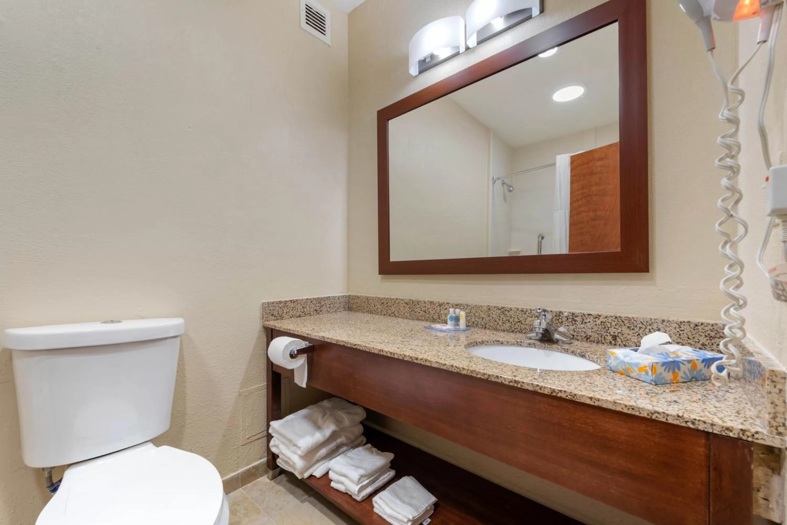 Toilet in Comfort Inn & Suites