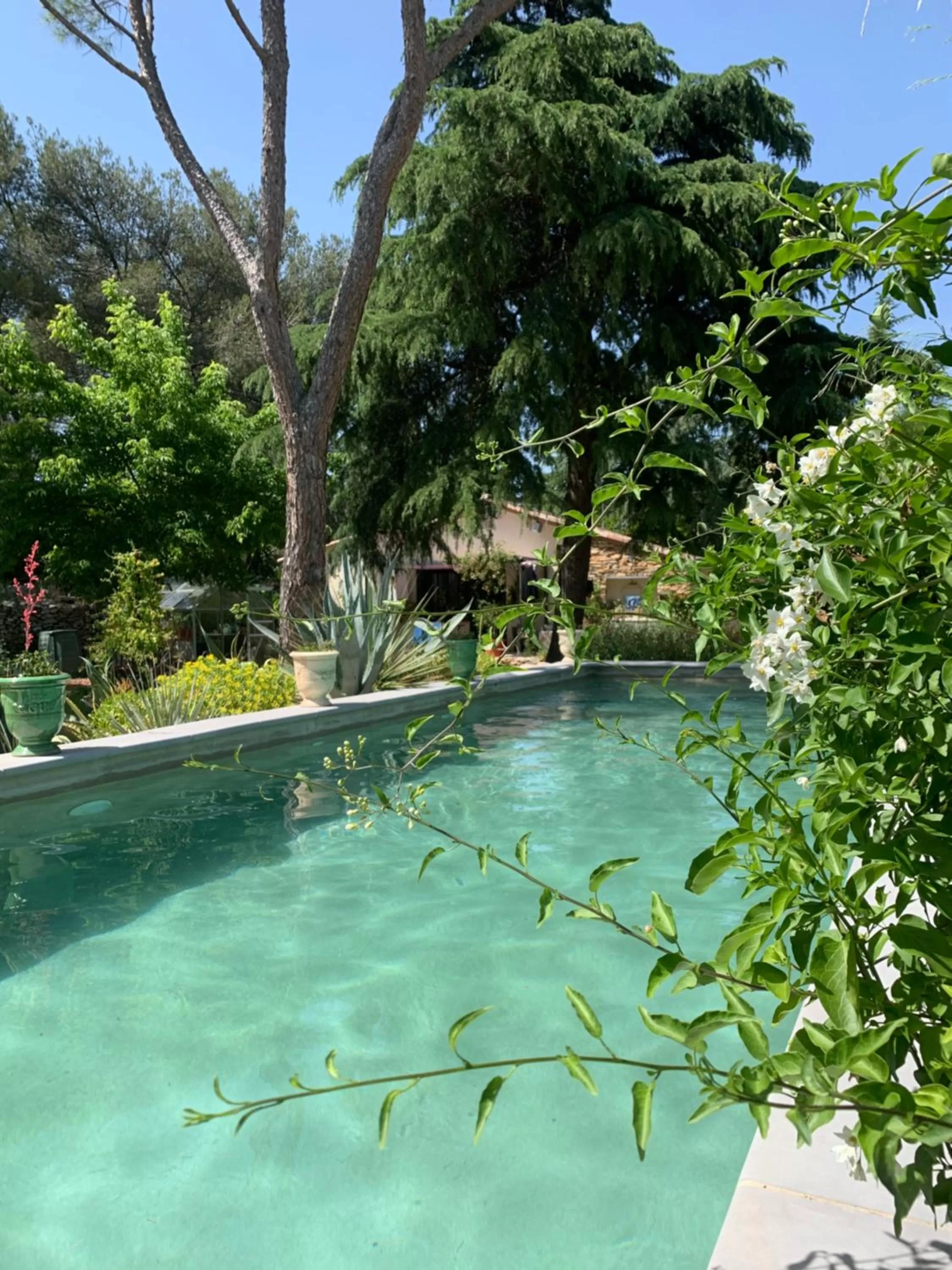 Swimming pool in Chambres d'Hôtes Lovely Planette