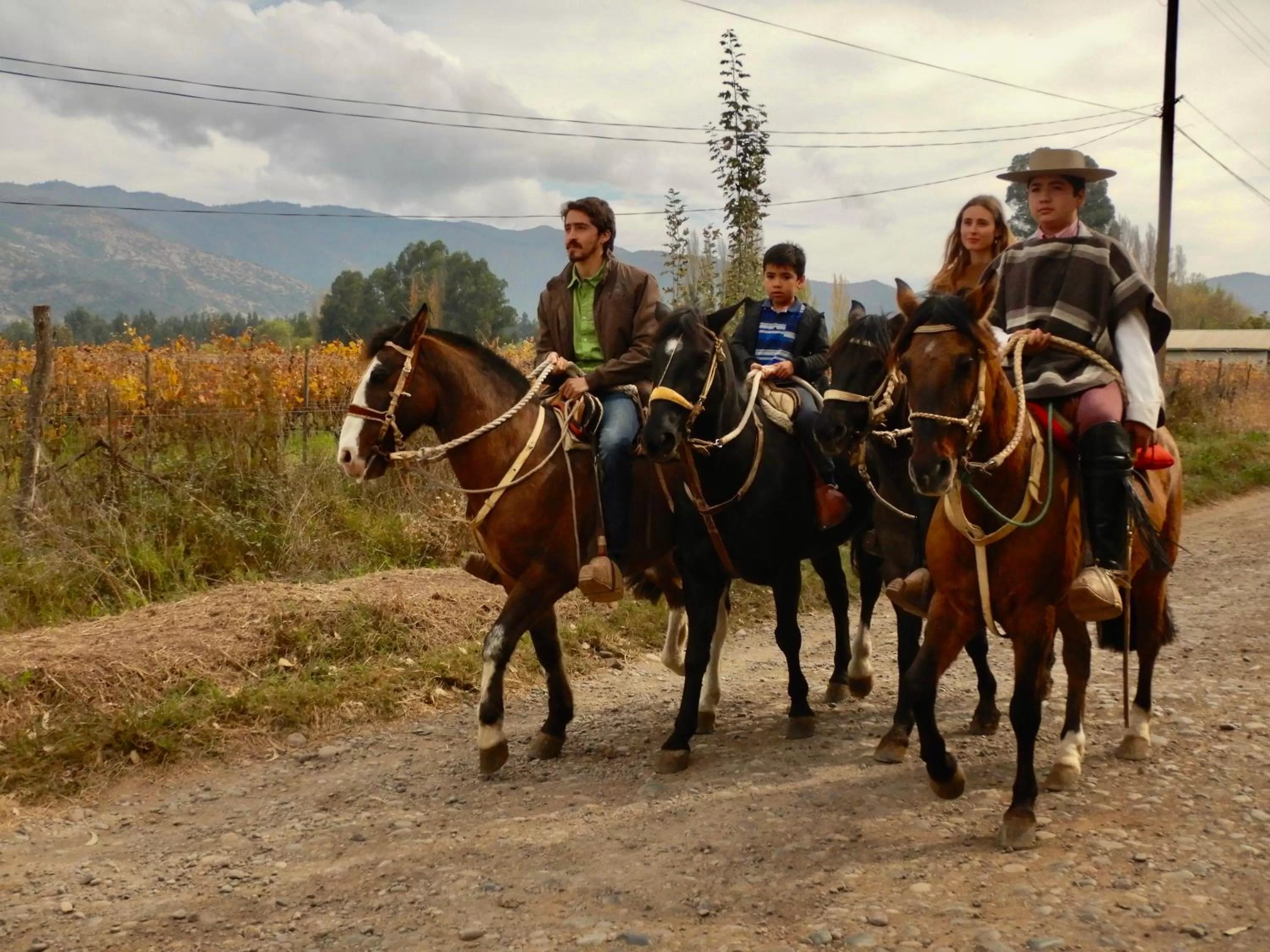 Hotel Boutique Raíces de Colchagua