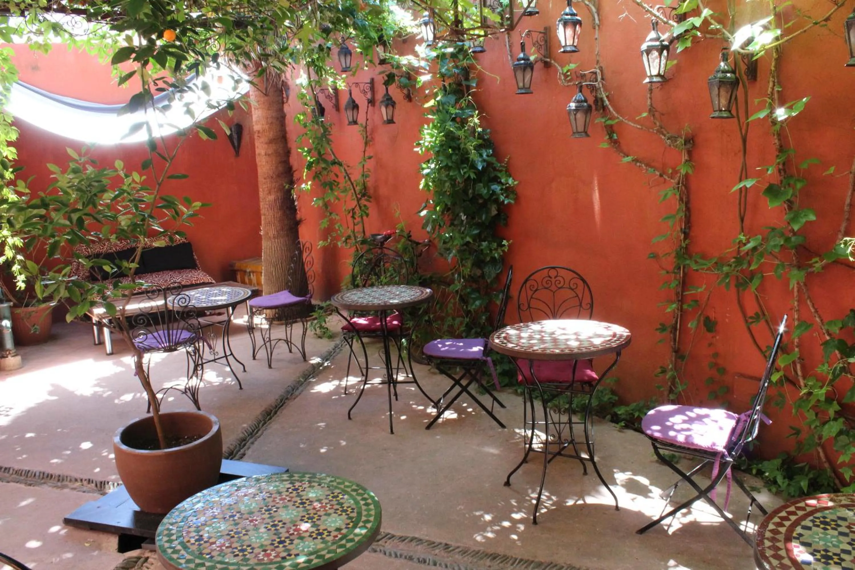 Balcony/Terrace in Hotel la Boheme