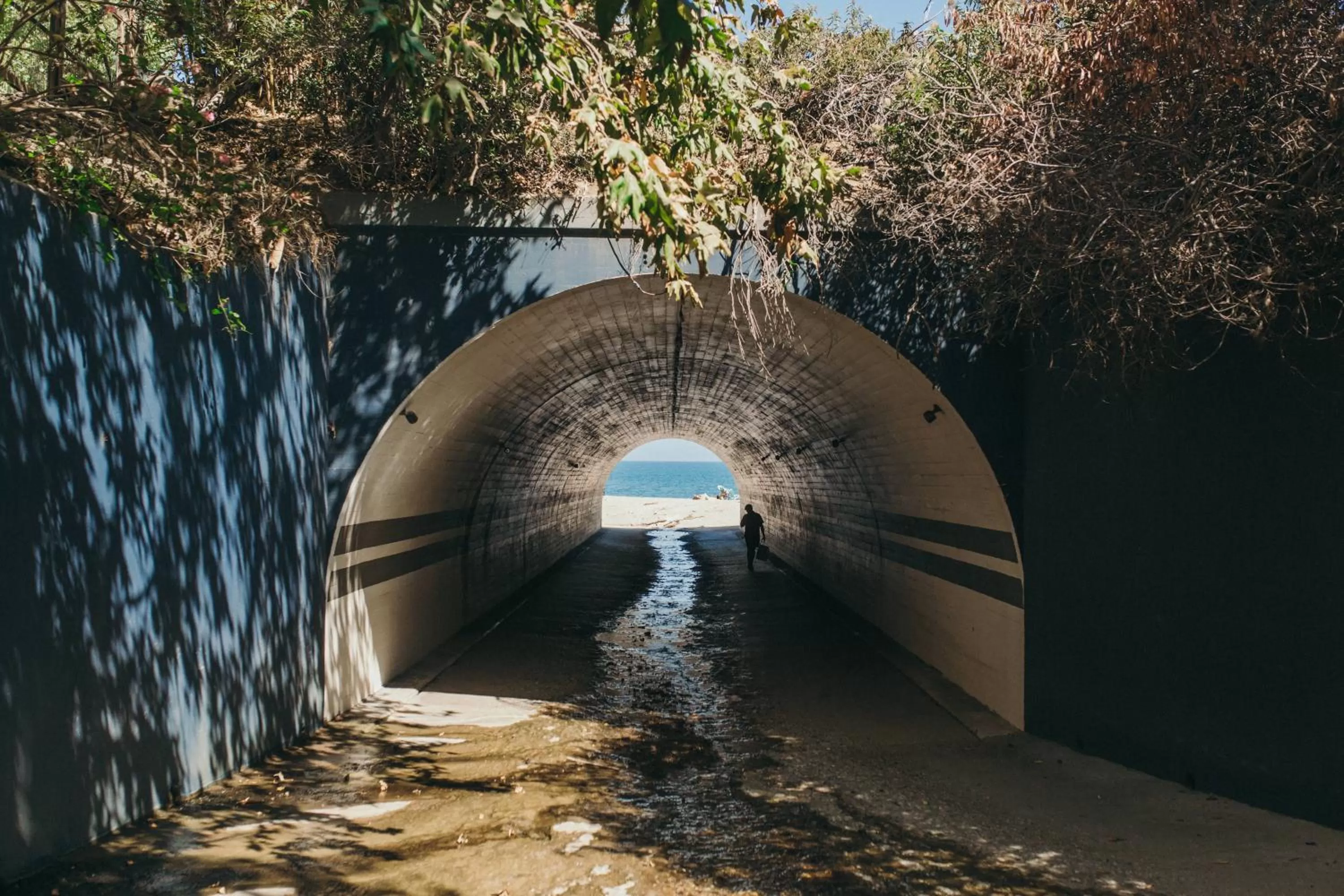 Beach in Calamigos Guest Ranch and Beach Club