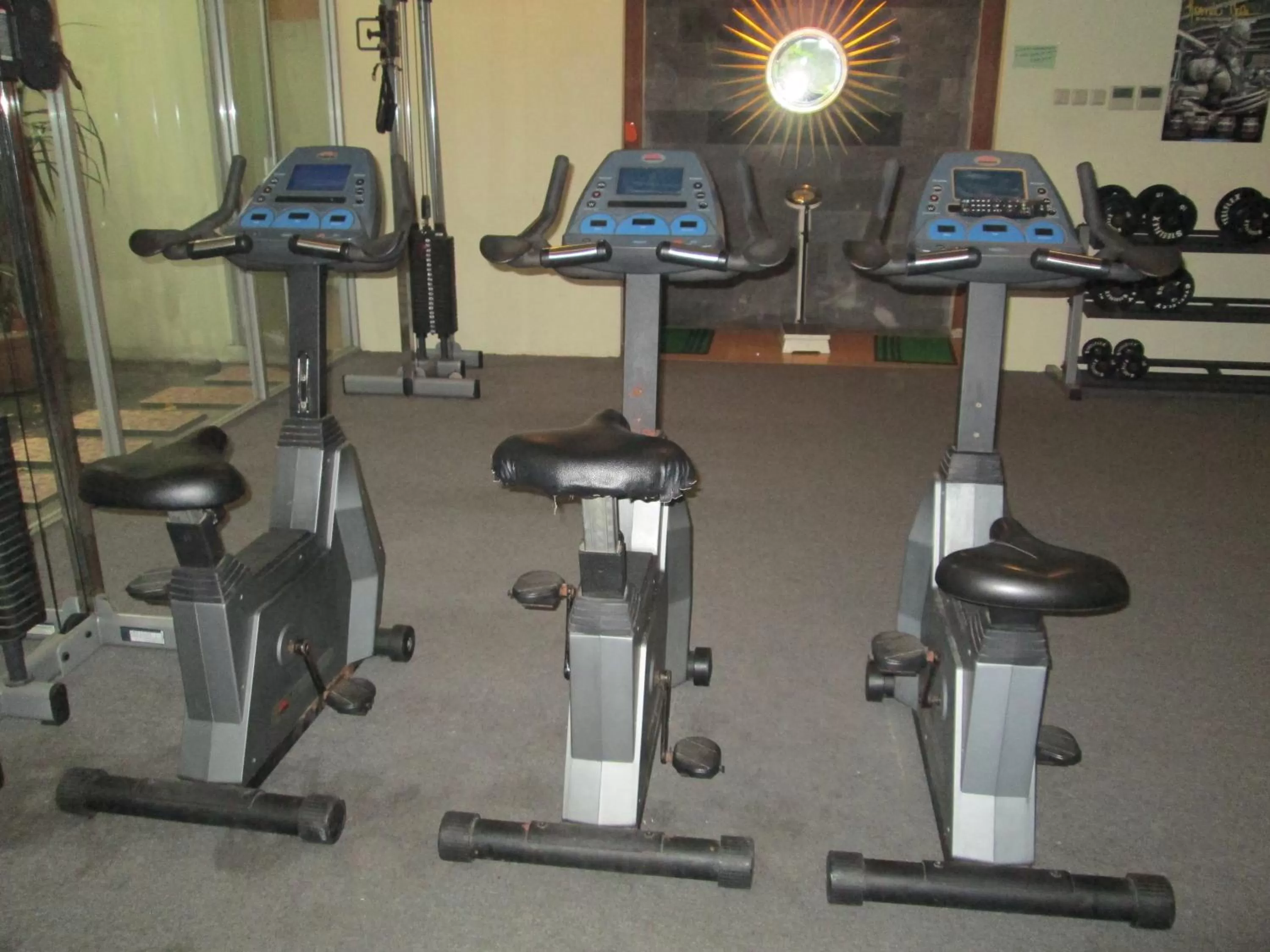 Fitness centre/facilities in Grand Pasundan Convention Hotel